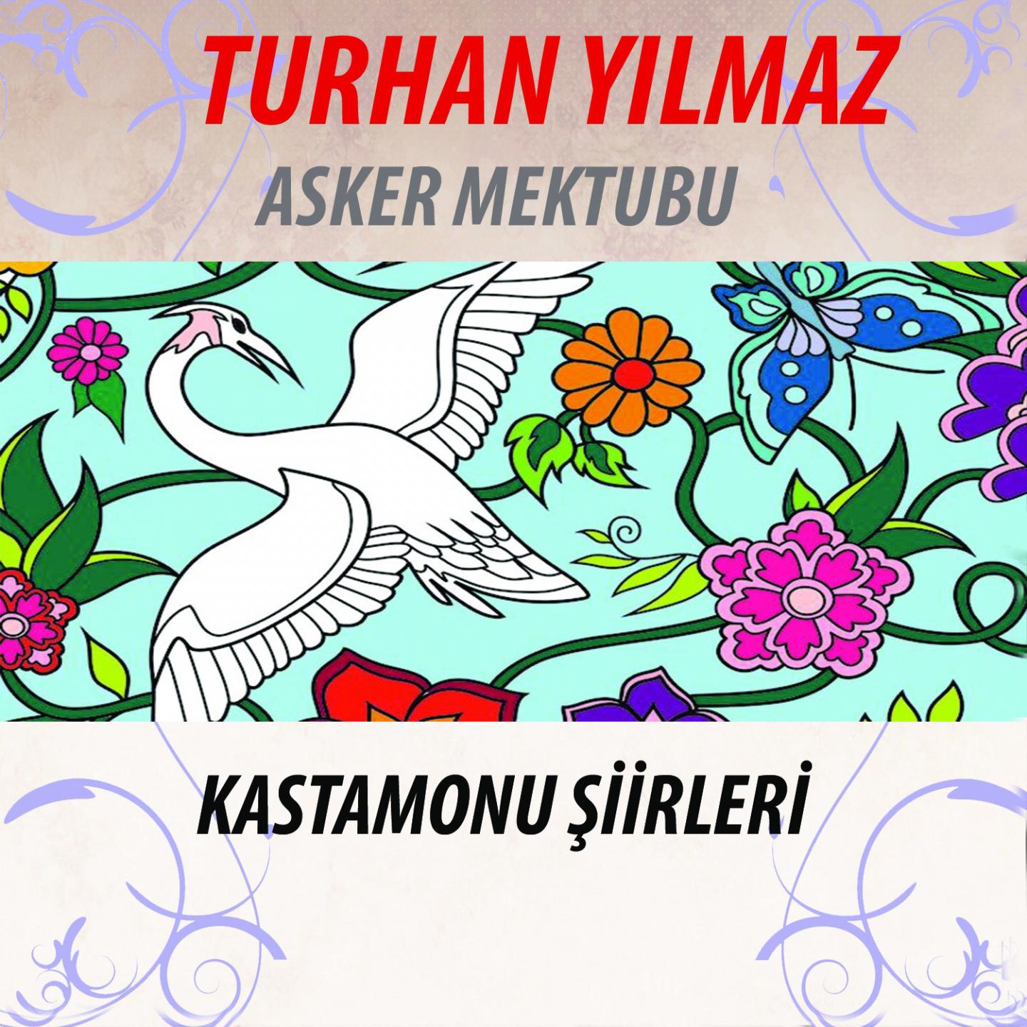 Kastamonu iirleri Asker Mektubu