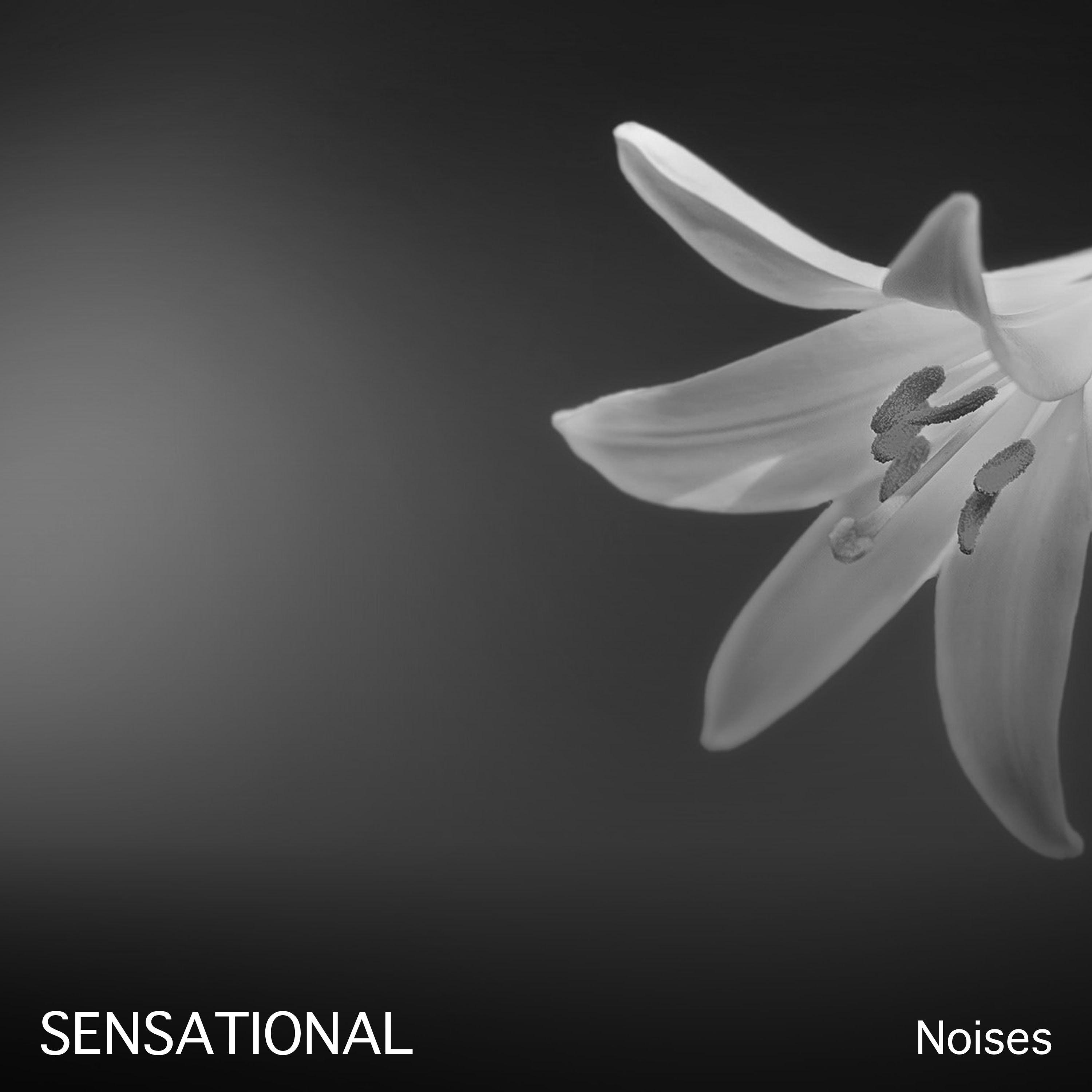#2018 Sensational Noises to Aid Relaxation & Massage