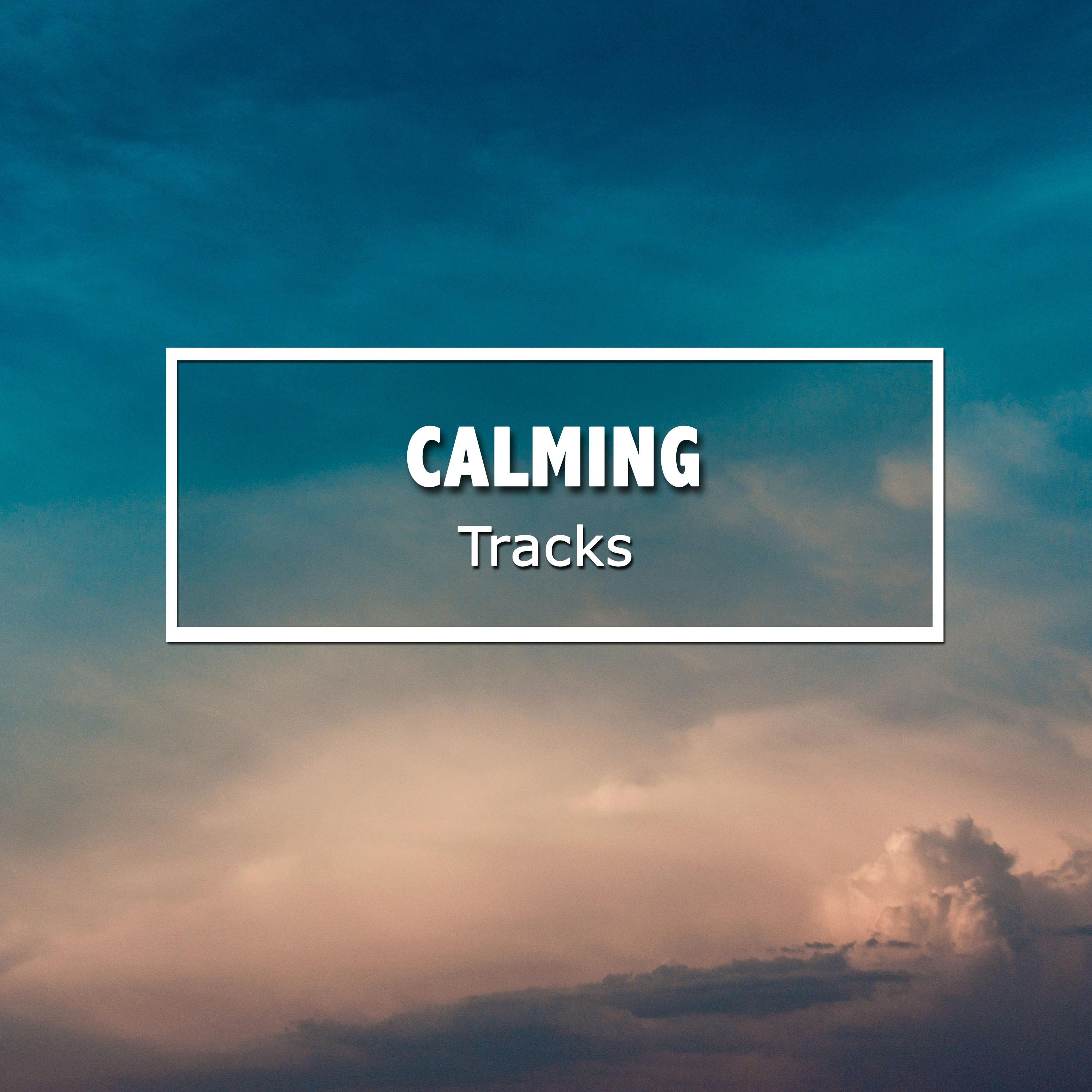 #10 Calming Tracks for Sleep and Relaxation