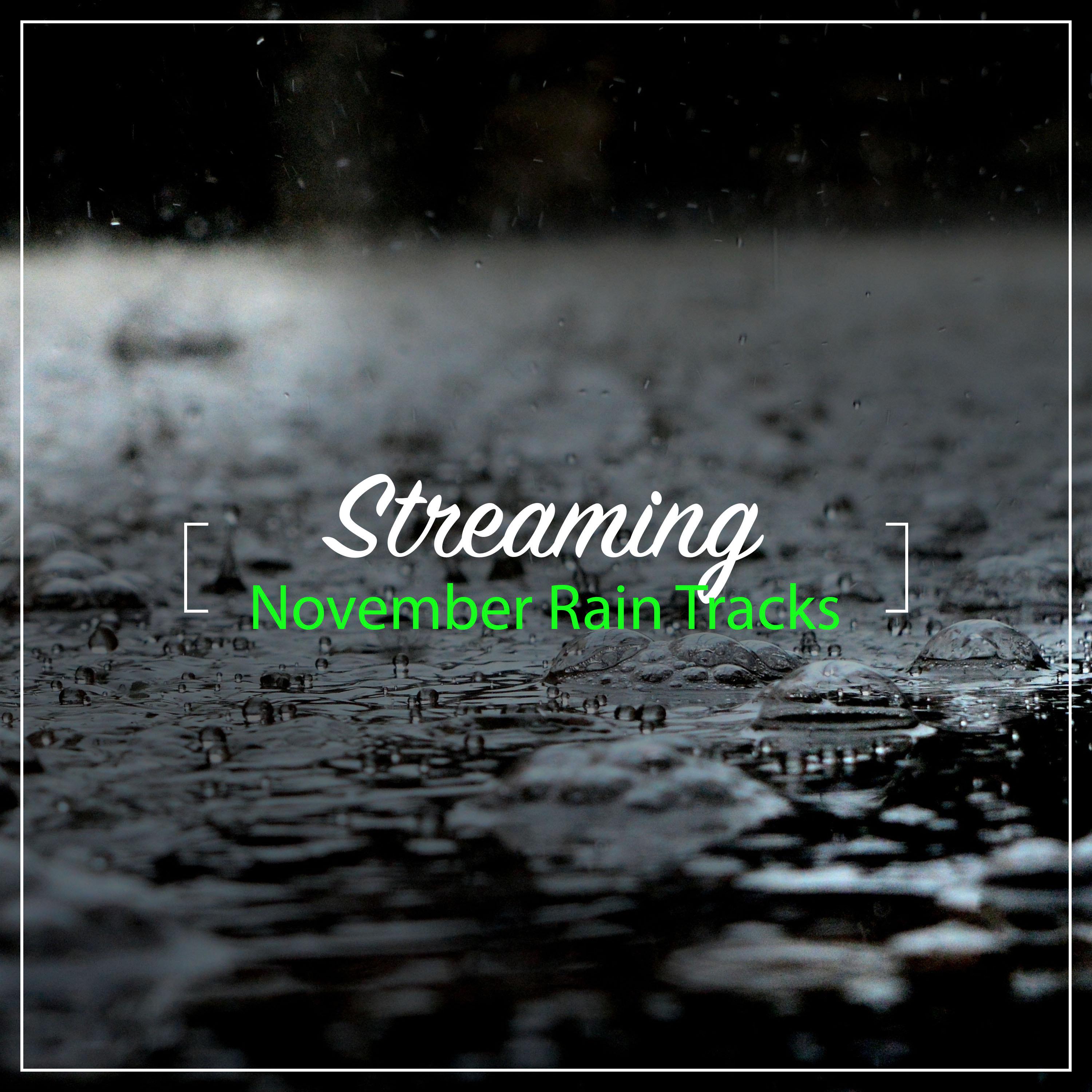 #21 Streaming November Rain Tracks