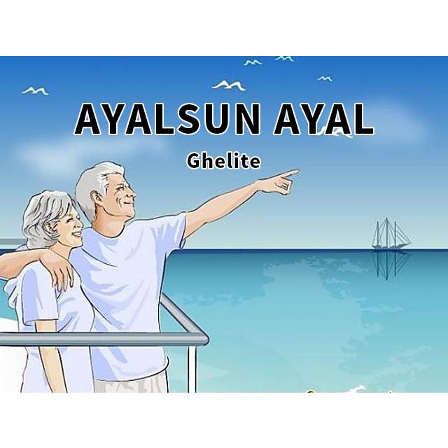 AYALSUN AYAL