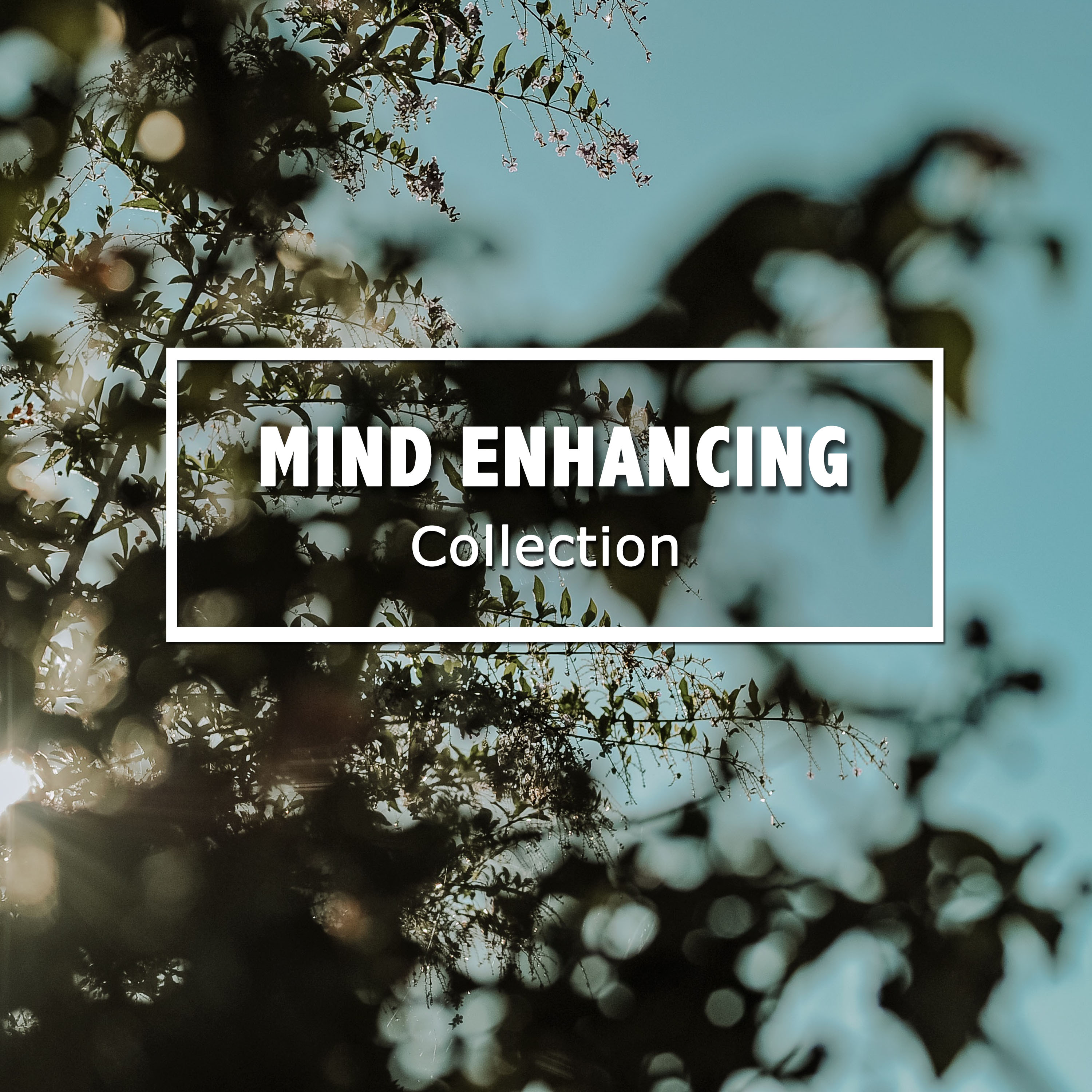 #14 Mind Enhancing Collection to Promote Wellness & Heal Chakras