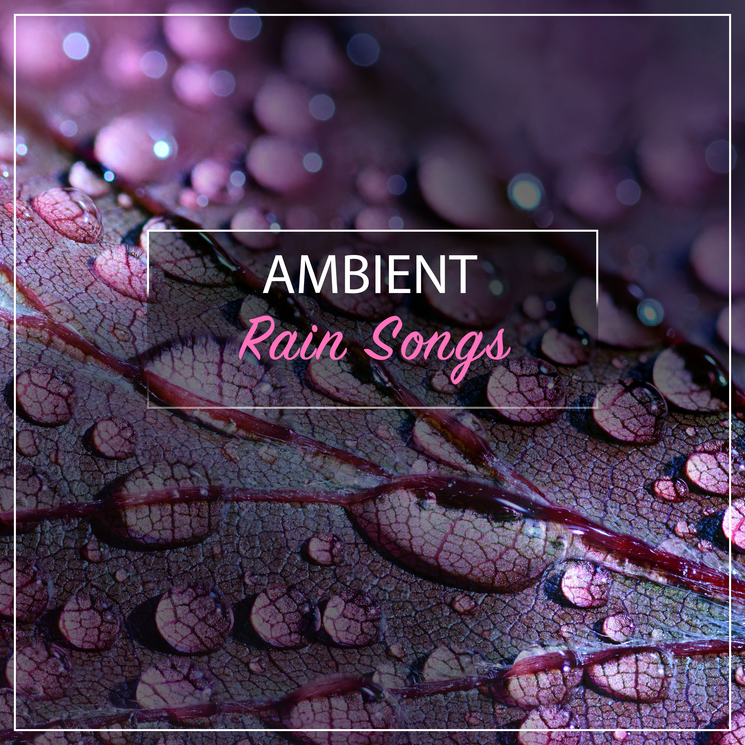#21 Ambient Rain Songs for Sleep