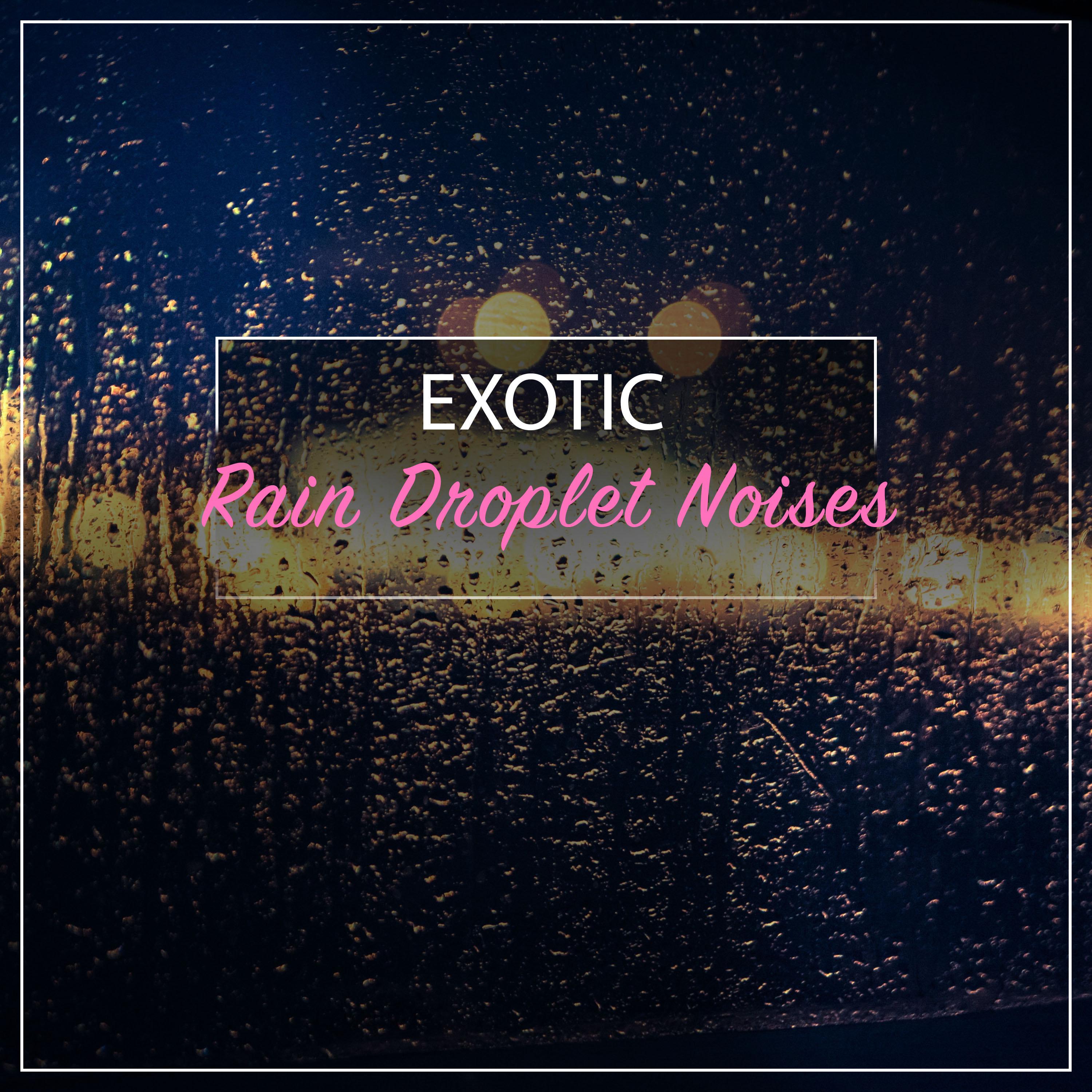 #18 Exotic Rain Droplet Noises