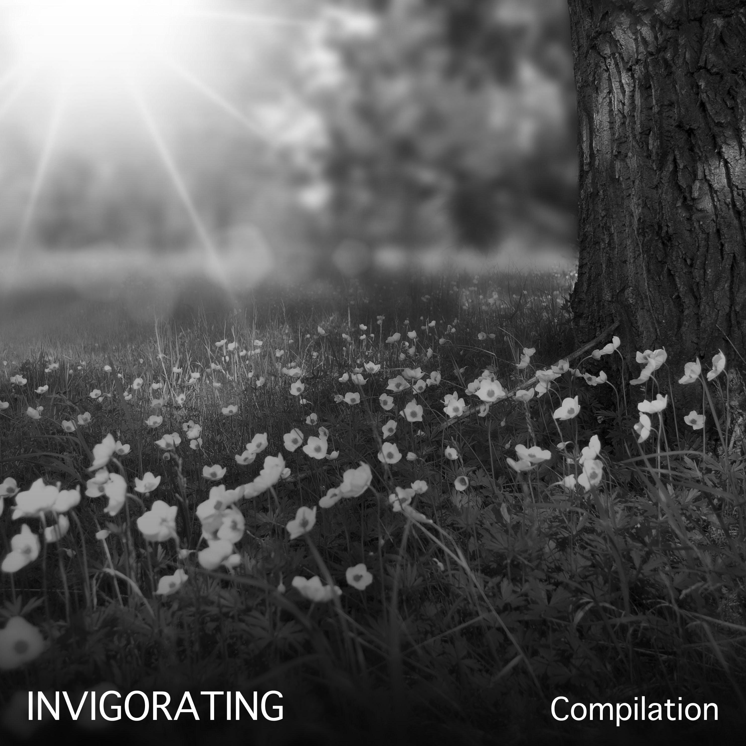#19 Invigorating Compilation for Sleep or Meditation