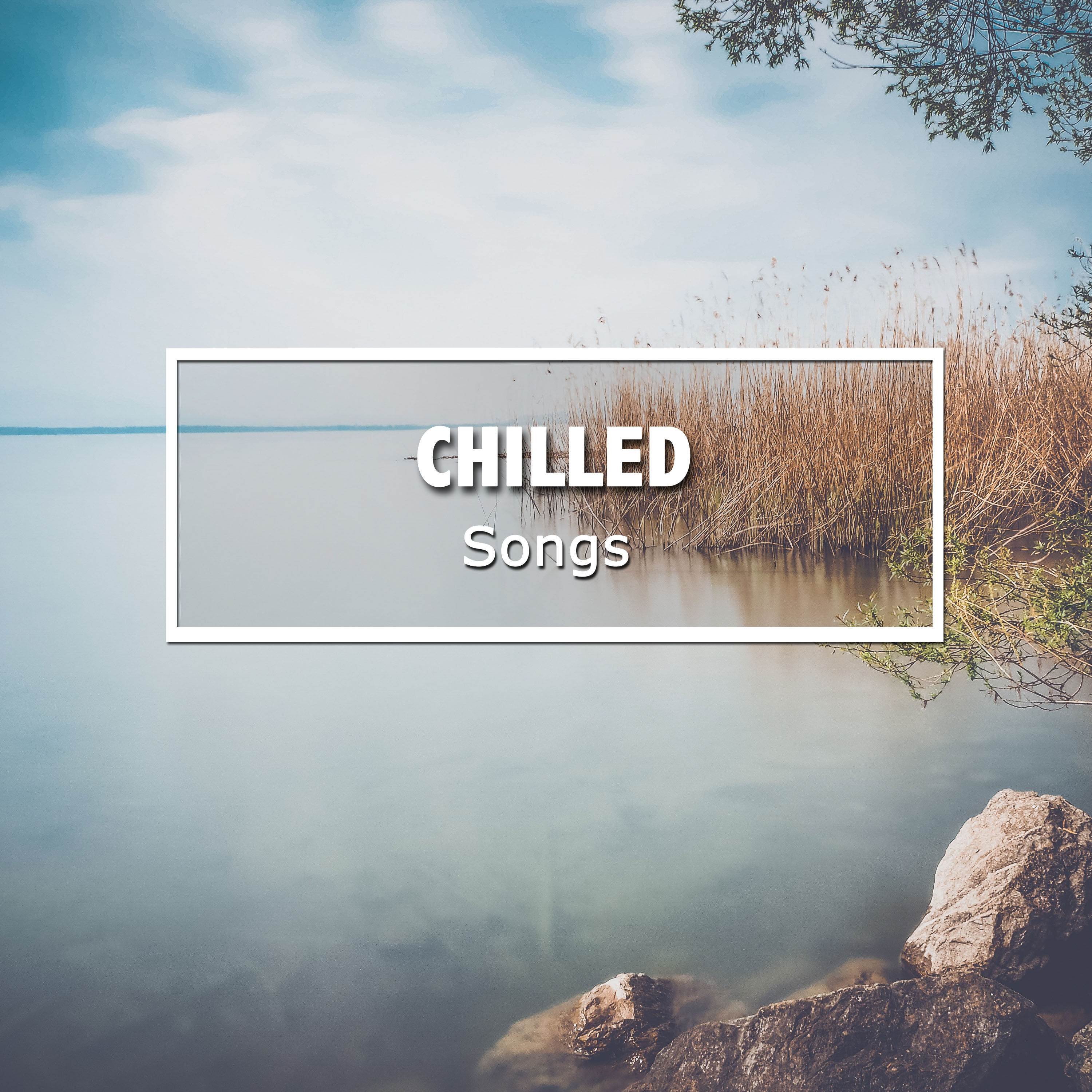 #20 Chilled Songs for Meditation and Yoga