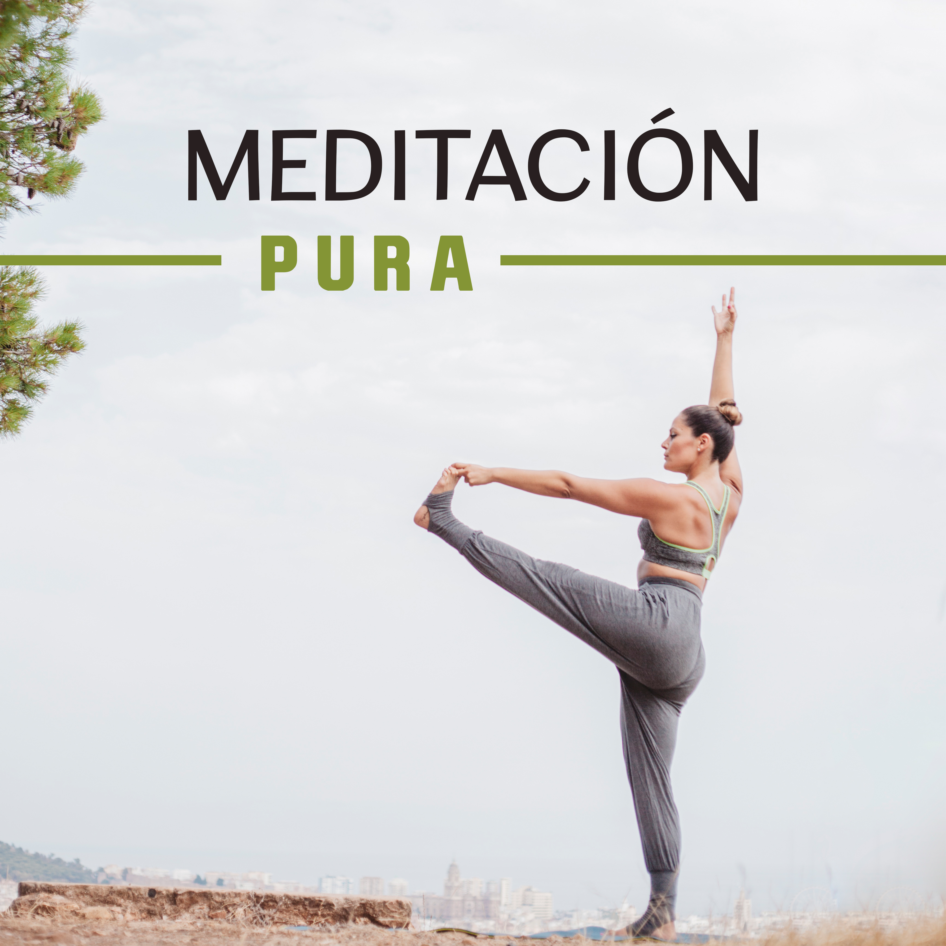 Meditacio n Pura