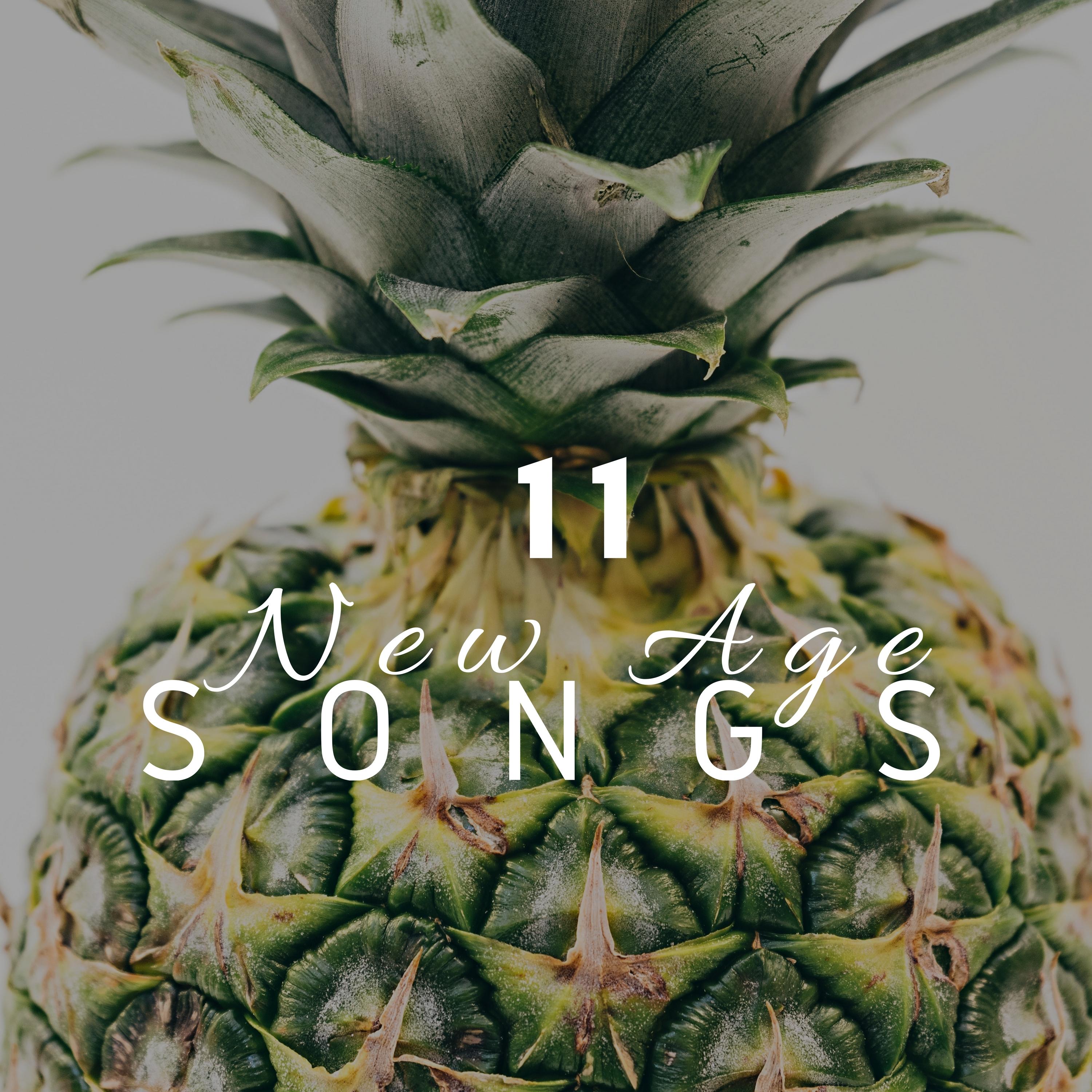 11 New Age Songs: Tropical Sounds, Feel the Summer, Exotic Sounds, Buddhist and Asian Music