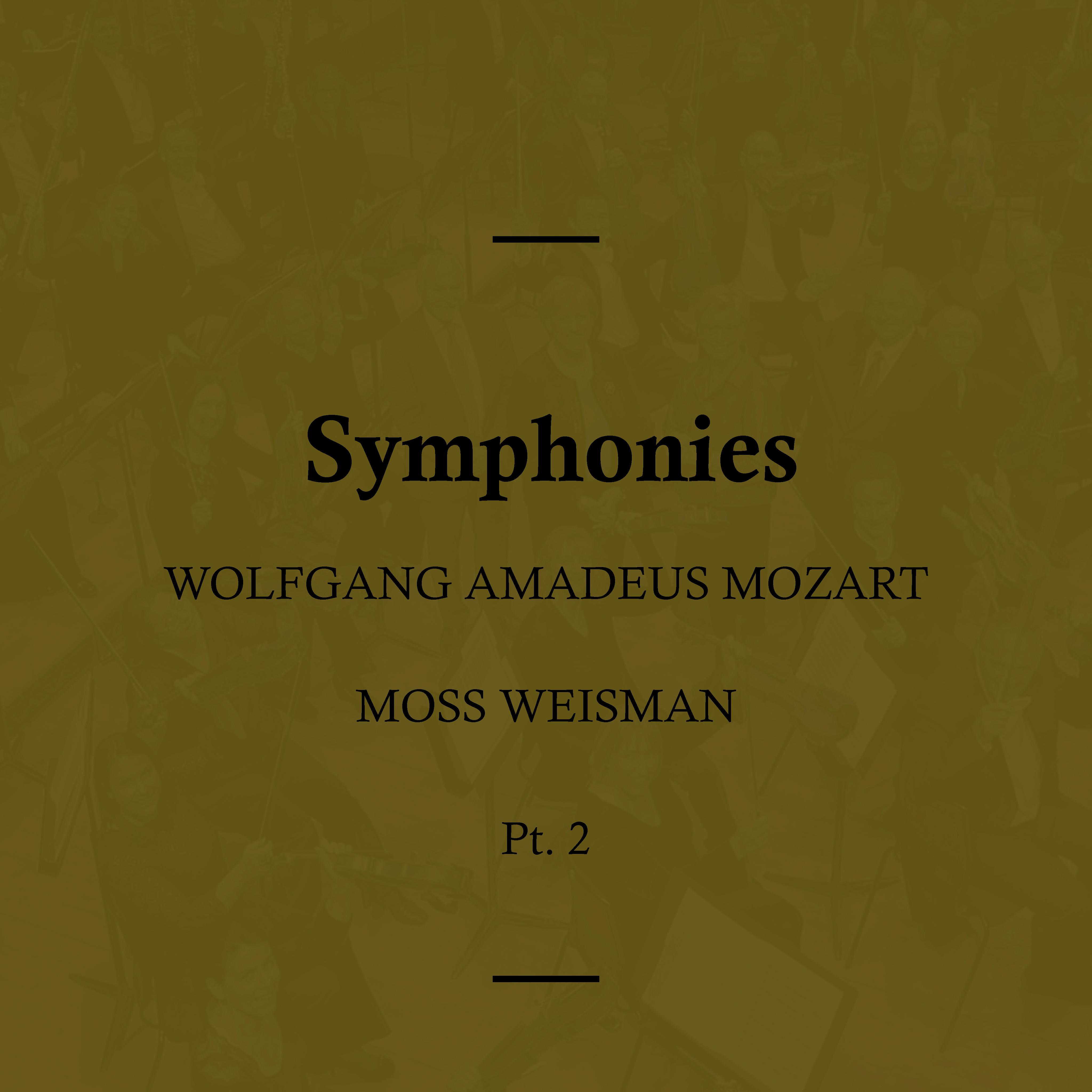 Symphony No. 10 in G Major, K. 74: II. Andante