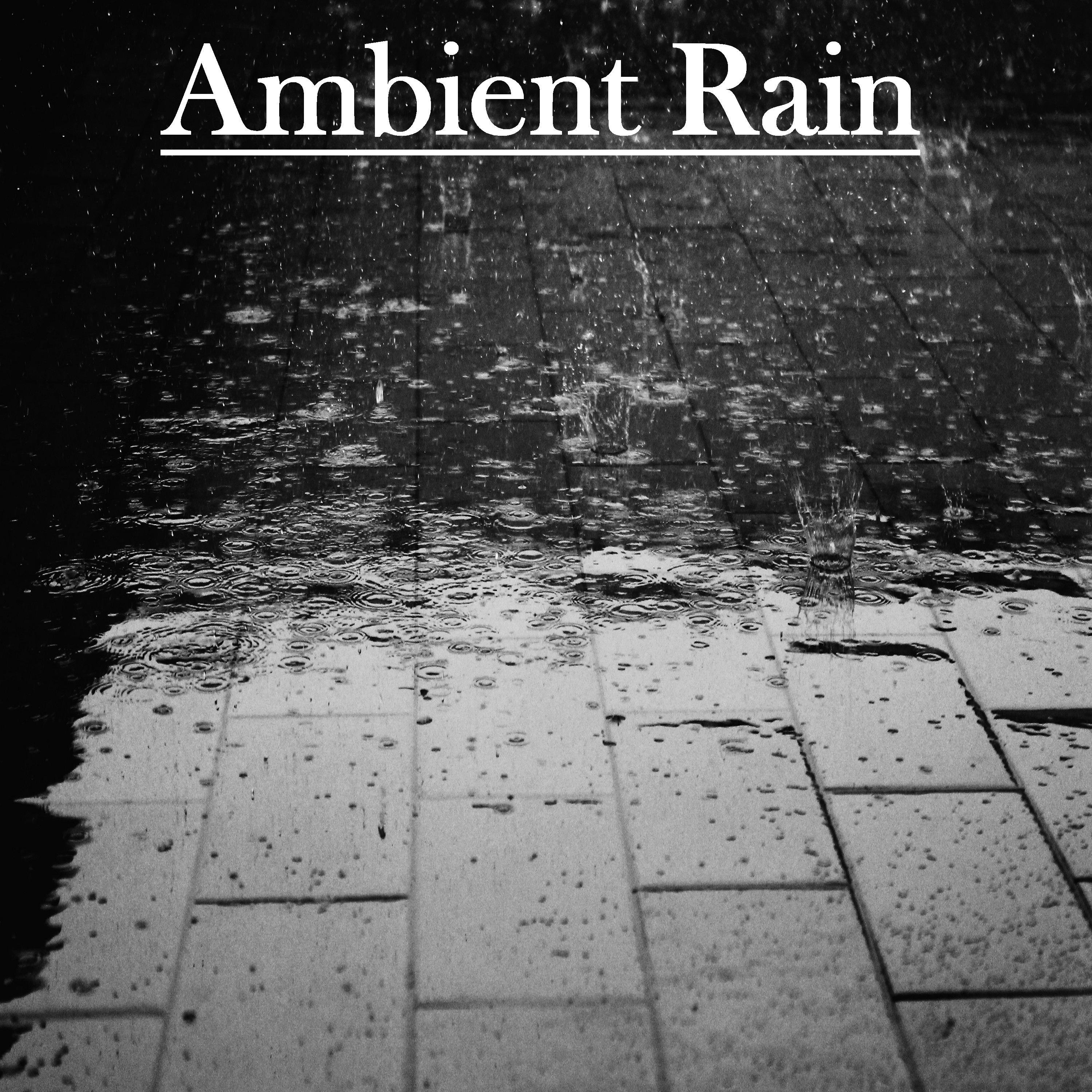 15 Ambient Rain Tracks - Mother Nature's White Noise