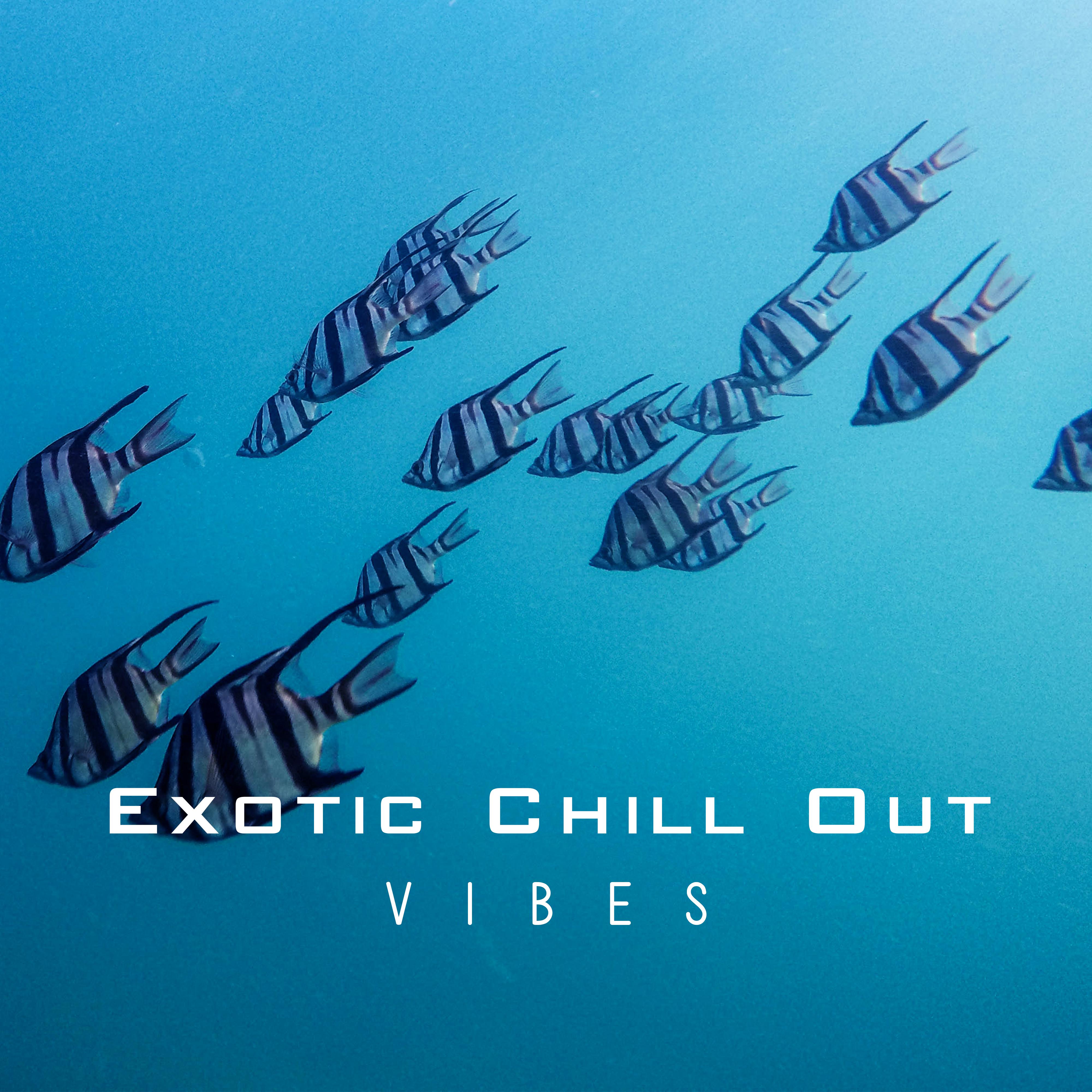 Exotic Chill Out Vibes