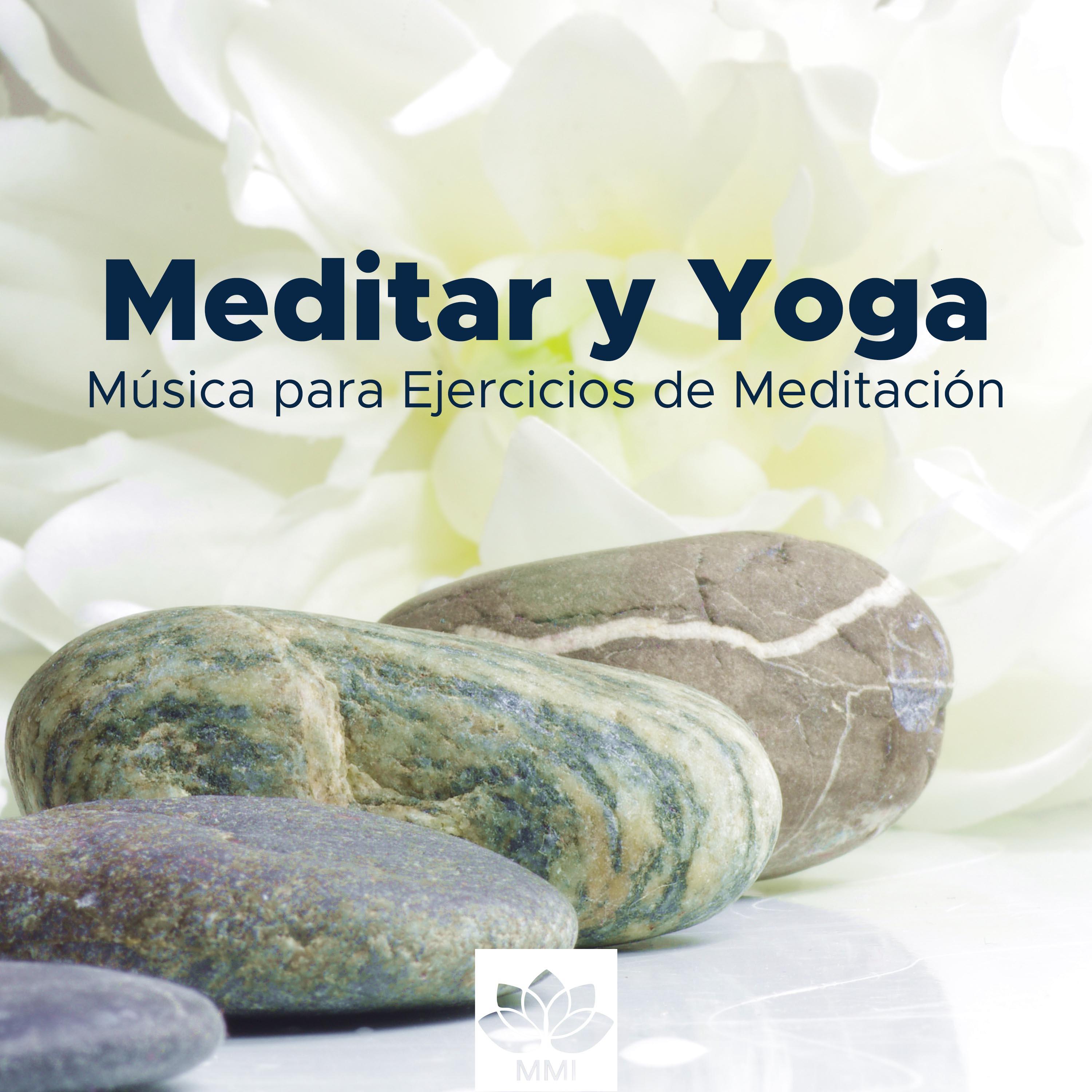 Meditar y Yoga  Musica para Ejercicios de Meditacio n y Relajacio n Profunda