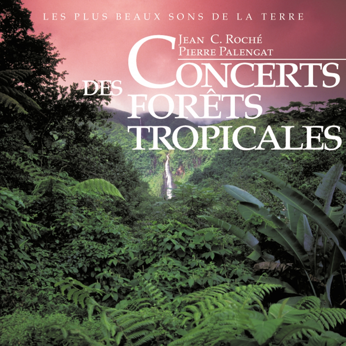 Concerts des for ts tropicales