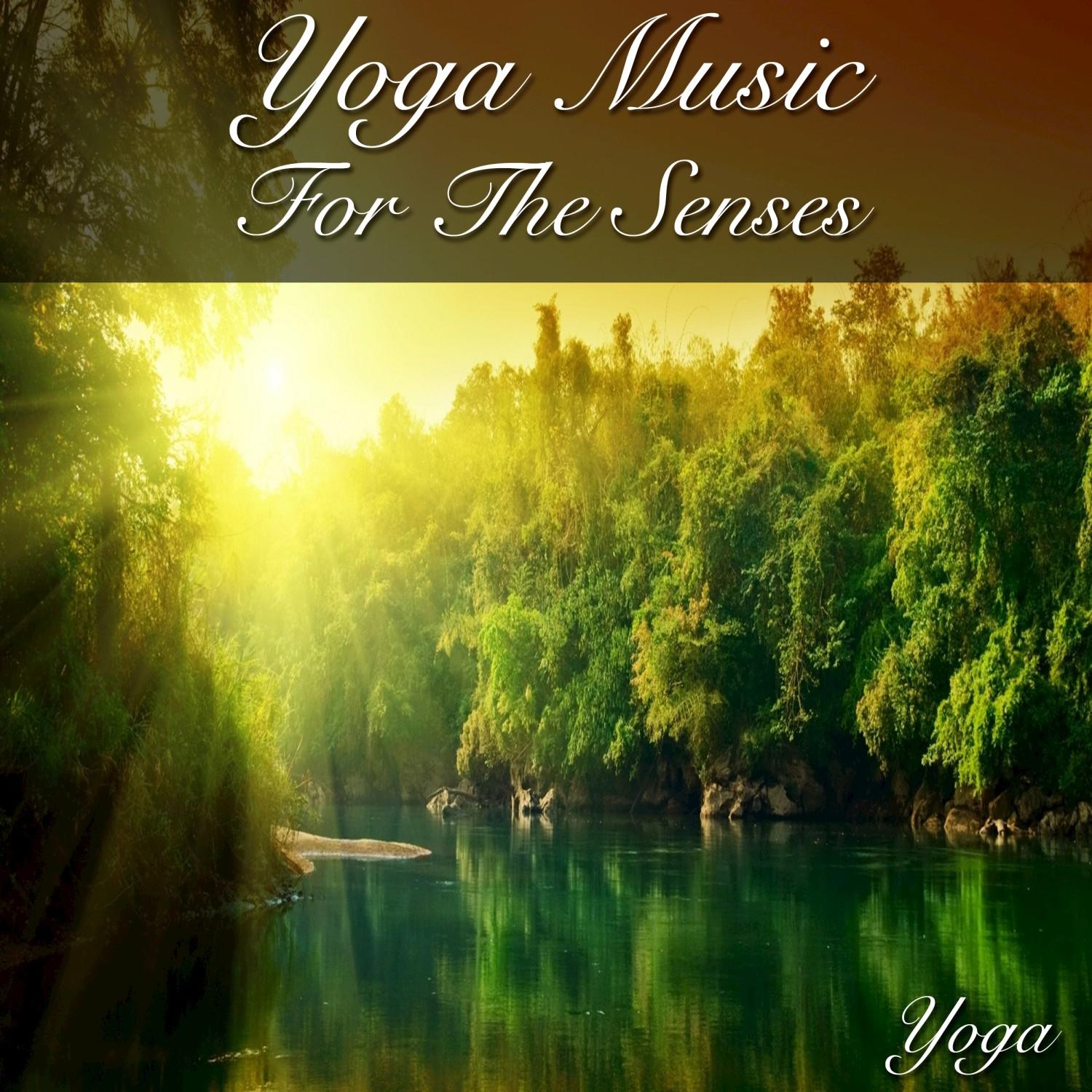 Yoga Music for the Senses
