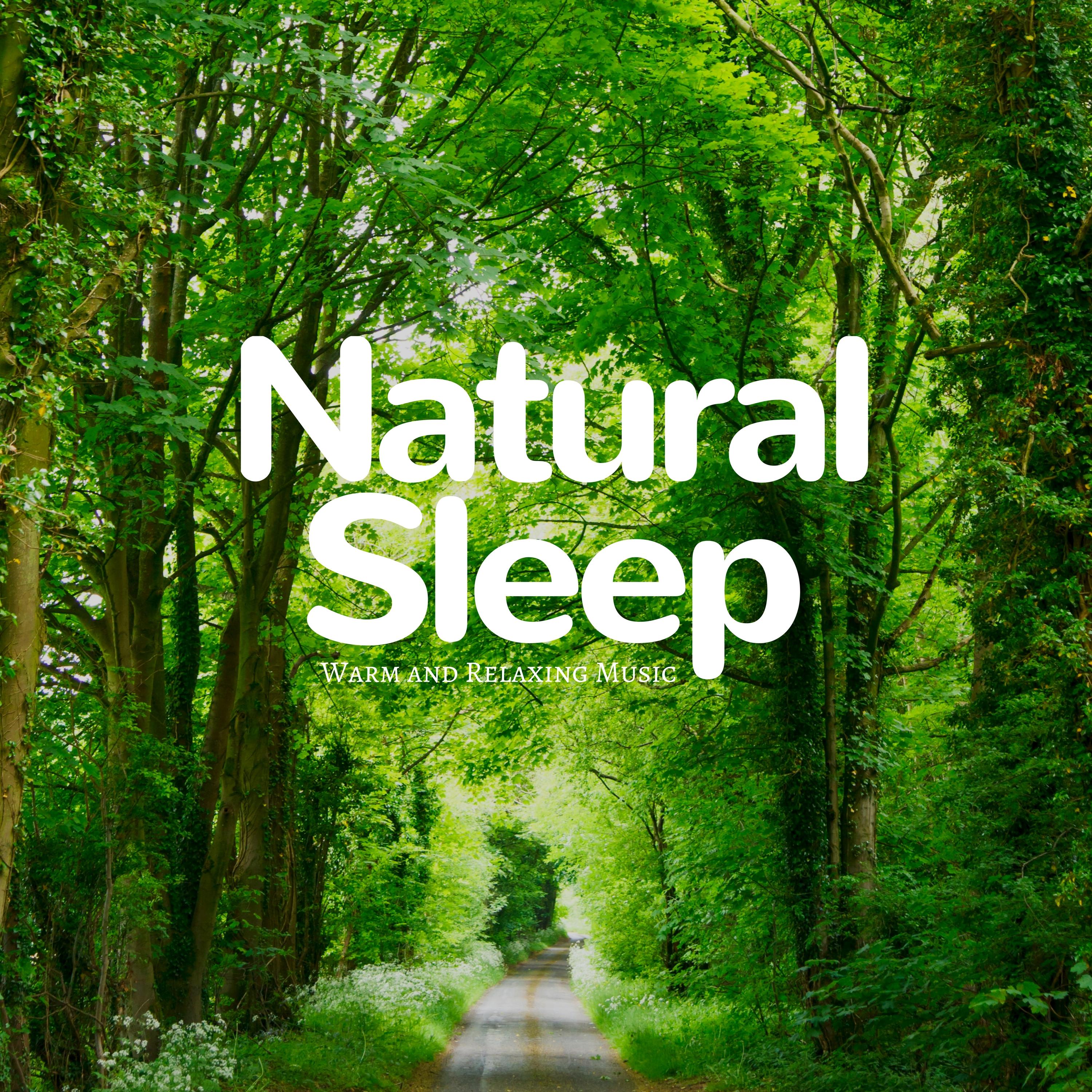 Natural Sleep - Warm and Relaxing Music for Sleep Insomnia. Soothing Music for Sleep with Relaxing Nature Sounds. Relaxing Music Sleep and Background Music. True Nature Sound to Help You Sleep