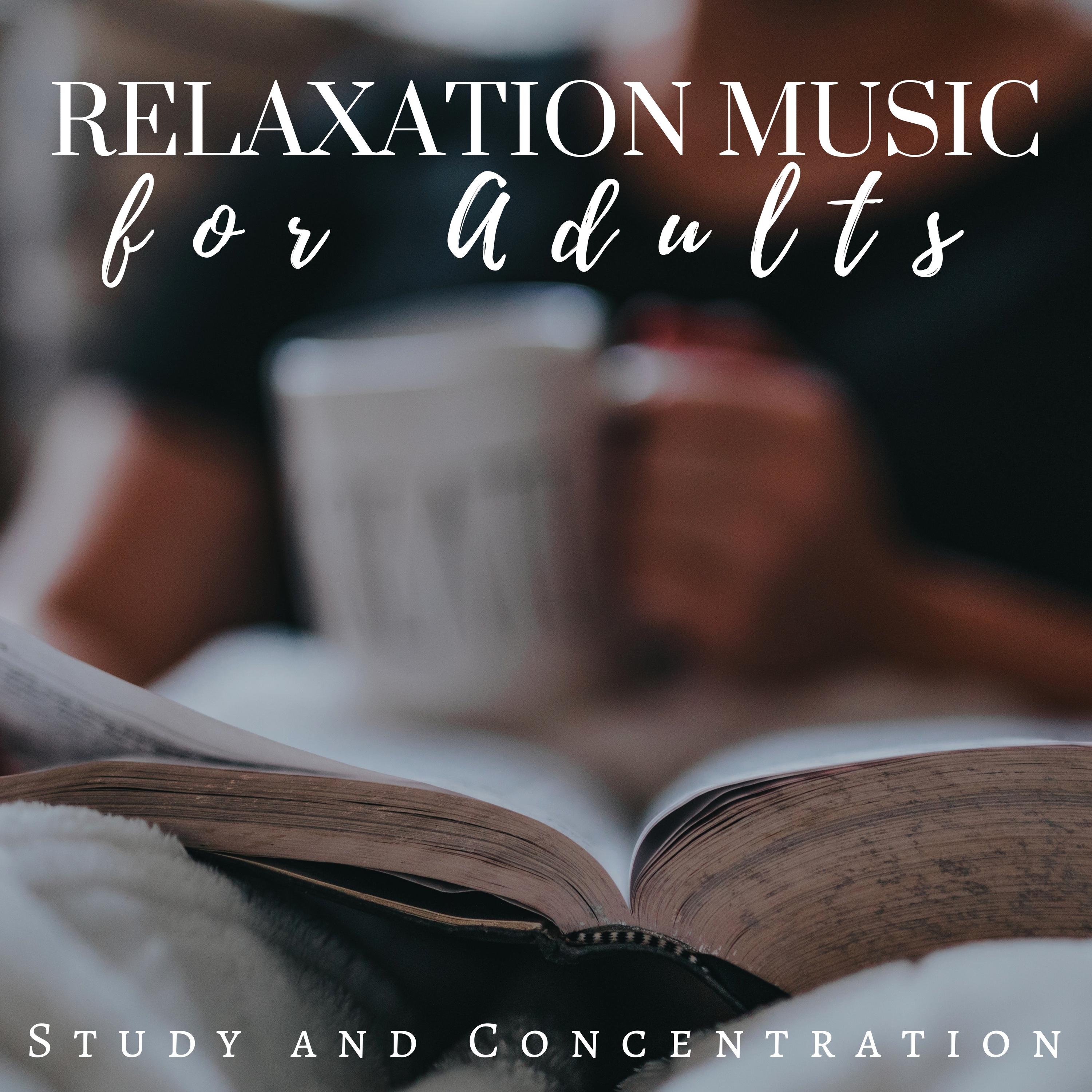 Relaxation Music CDs for Adults - Study and Concentration Playlist
