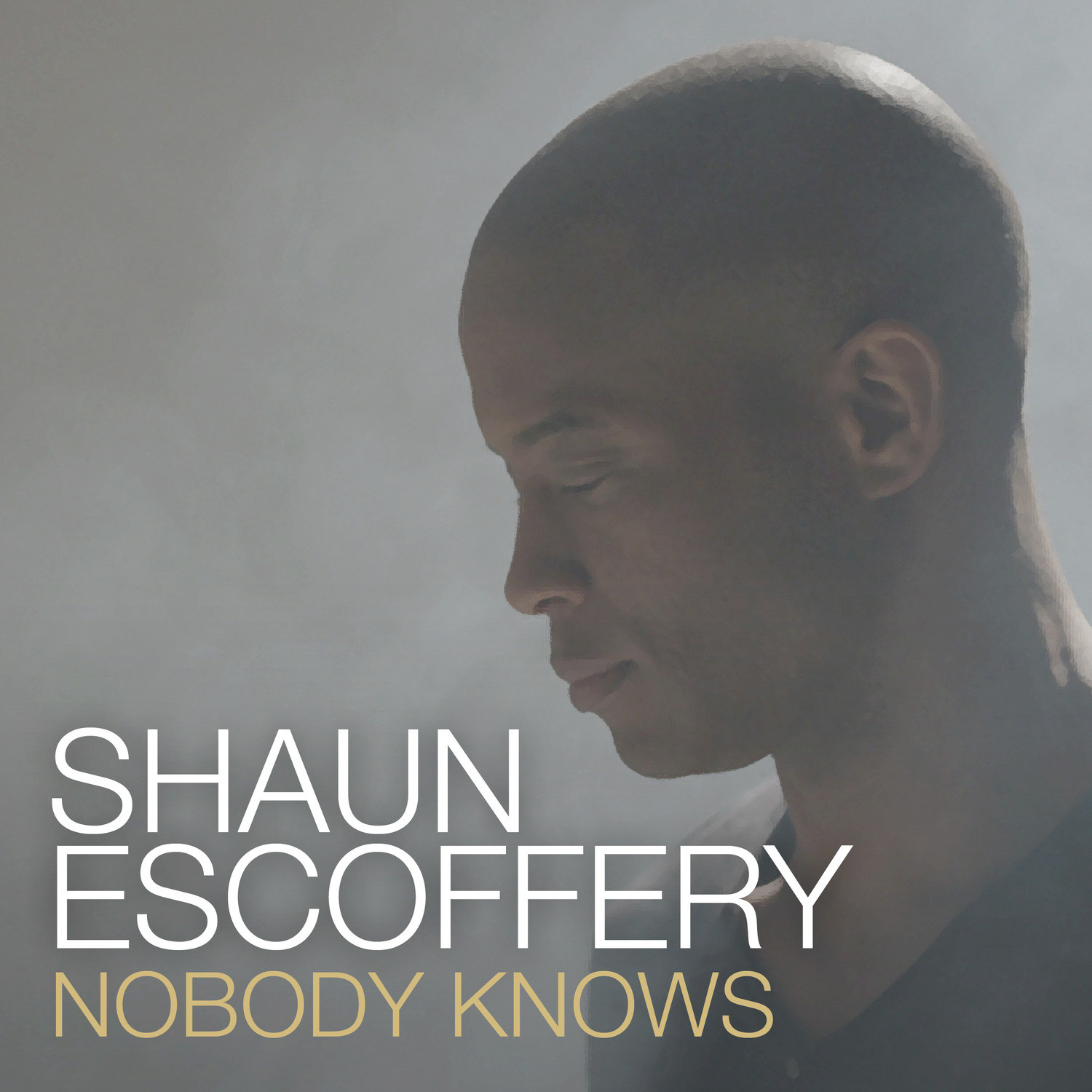 Nobody Knows (Rolling Stock Remix)