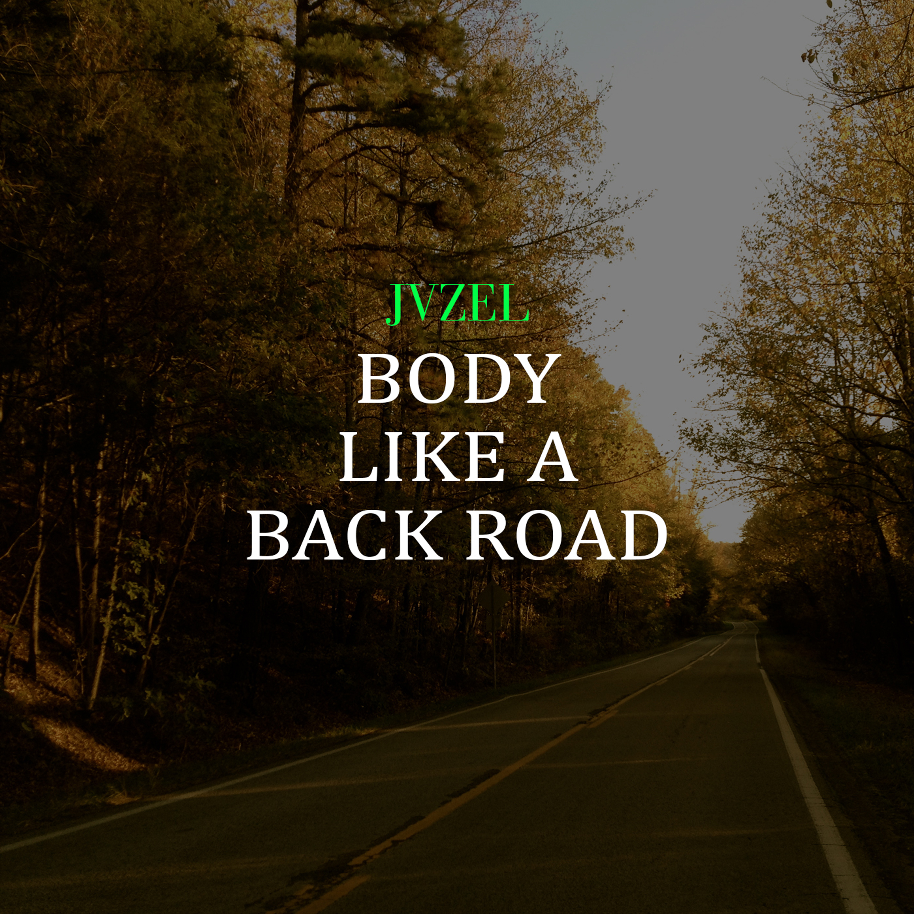 Body Like a Back Road