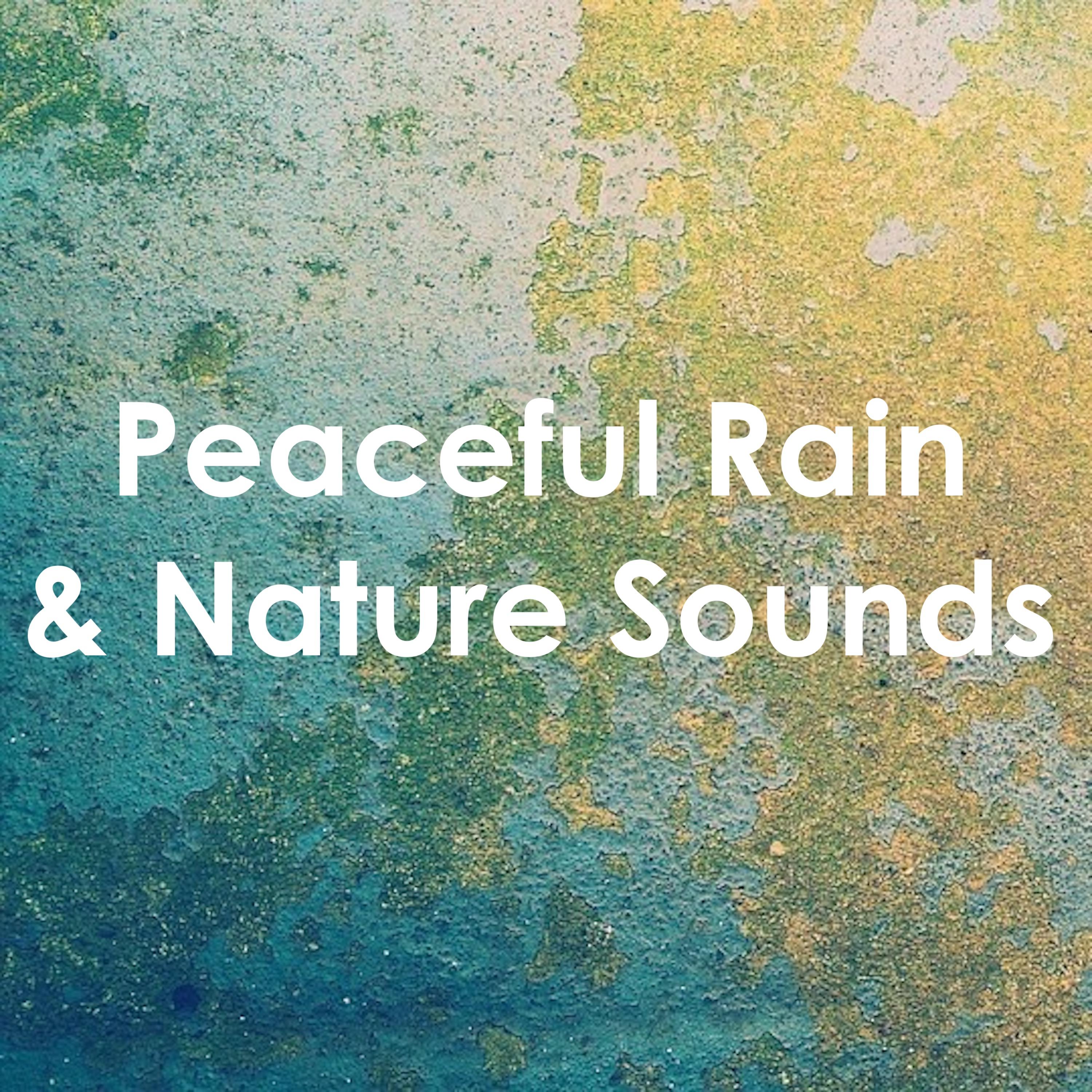 12 Ambient Rain Sounds: Peaceful World