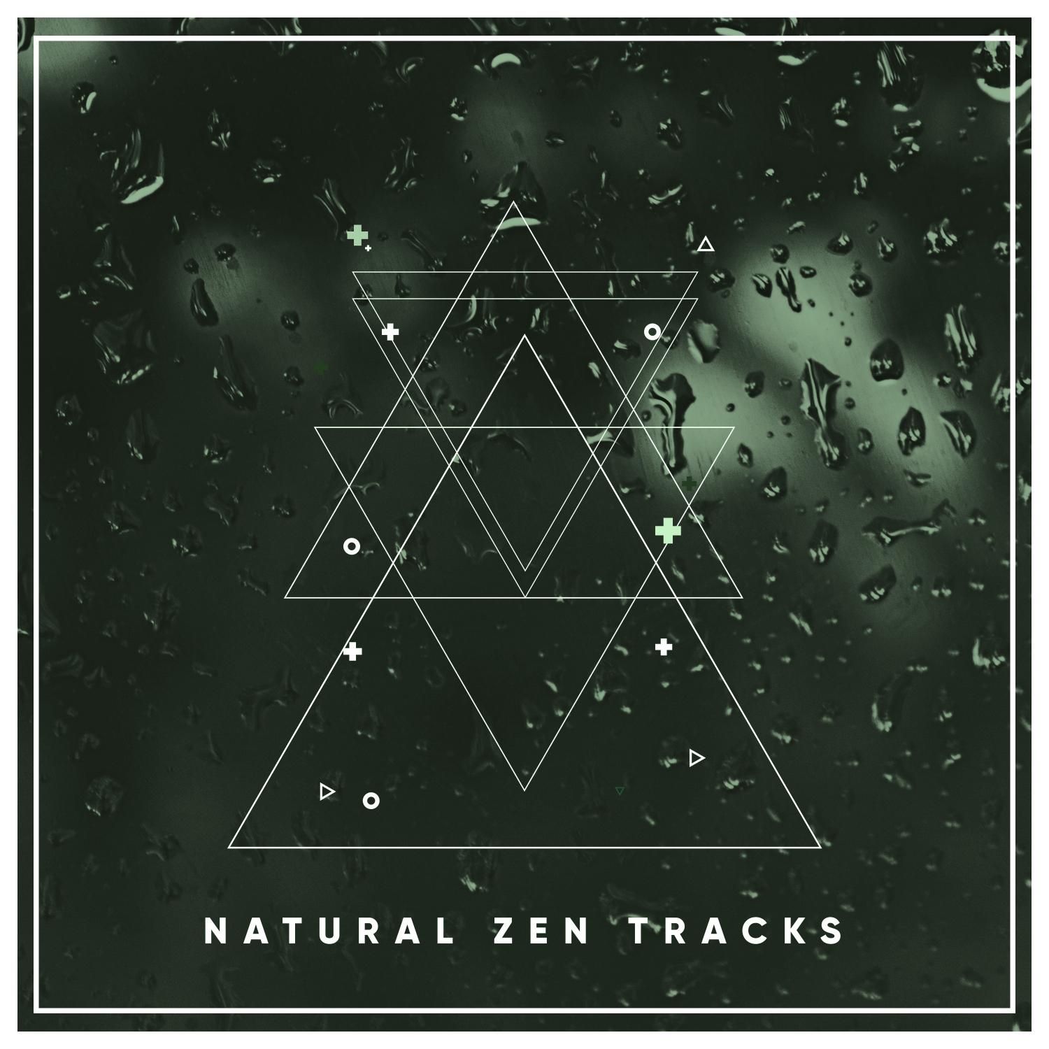 20 Natural Zen Tracks: Rain & Thunder