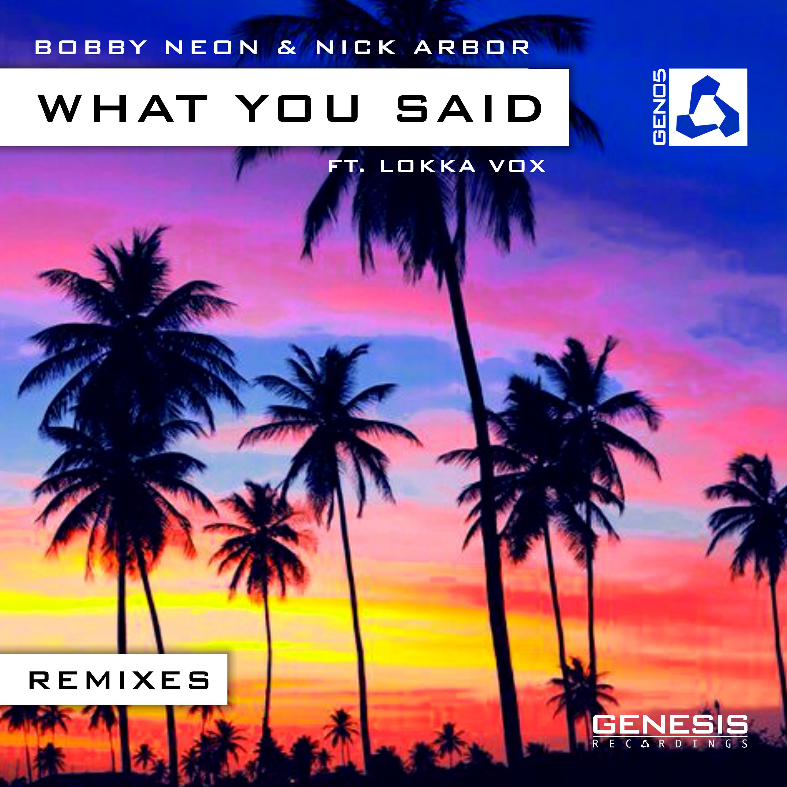 What You Said (Willem de Roo Remix)