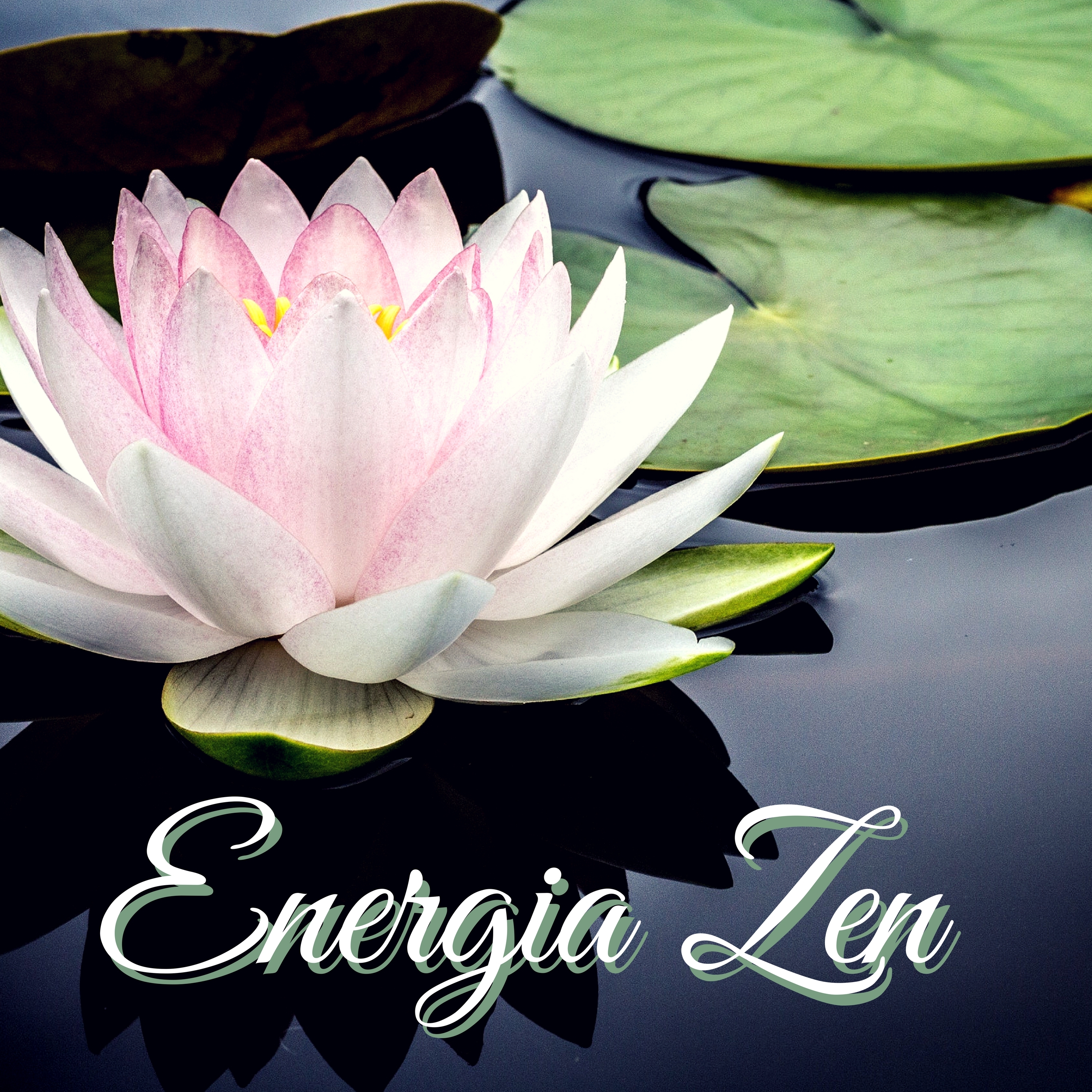 Energia Zen - Musiche per Trattamenti Spa a Casa, Riduzione dello Stress e Pace Interiore