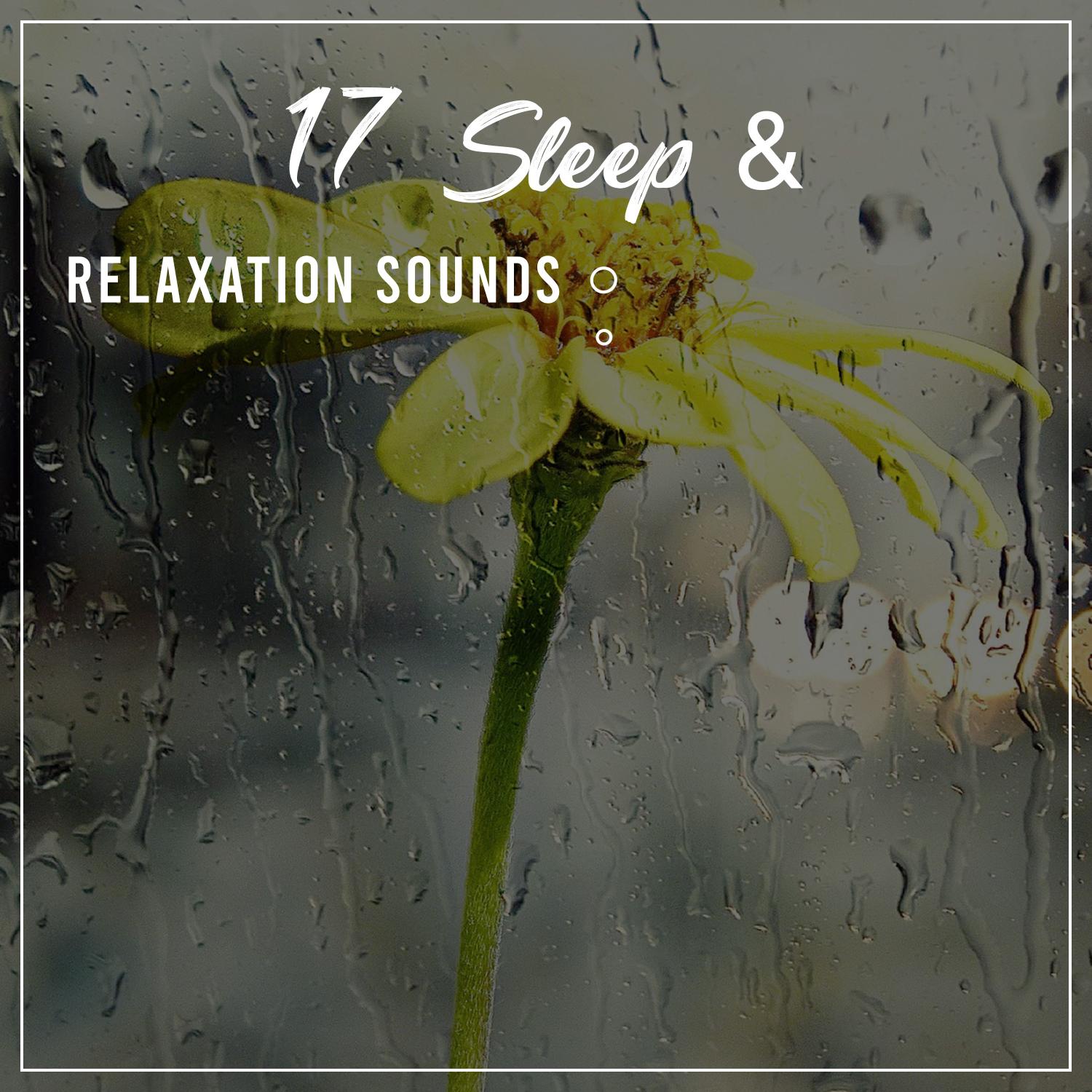 17 Meditation, Sleep & Relaxation Sounds
