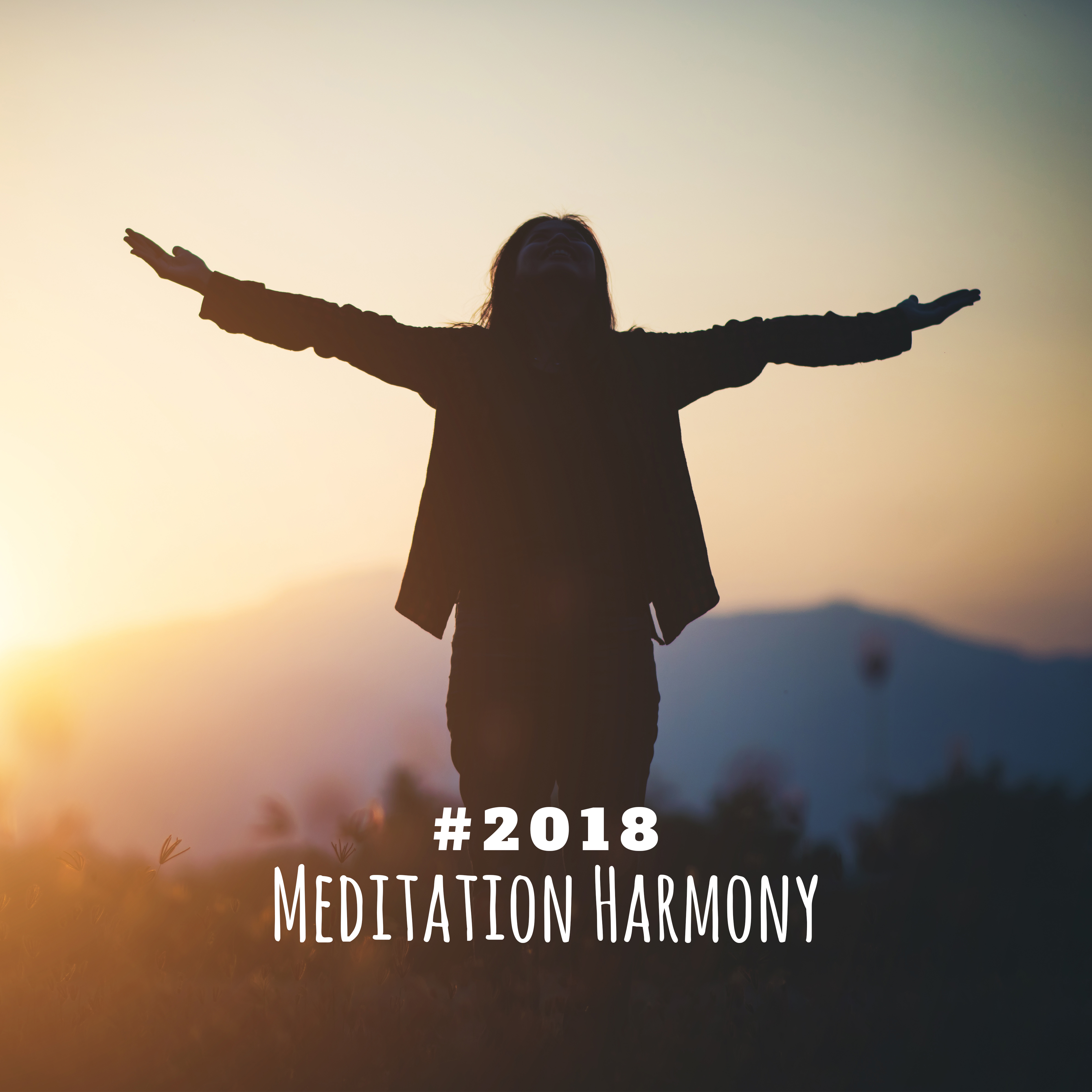#2018 Meditation Harmony