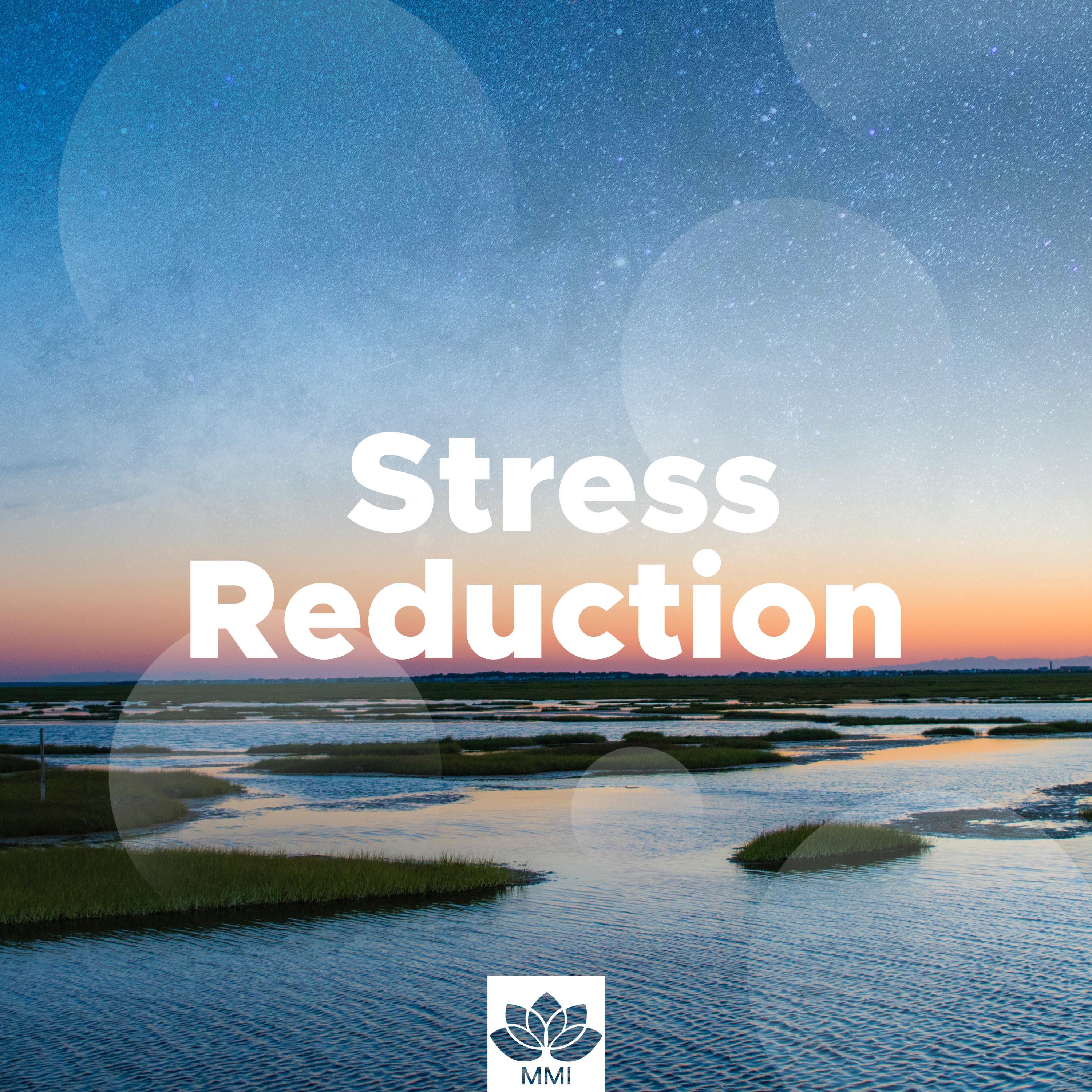 Stress Reduction - Relaxing Paradise Music for a Healthy Lifestyle