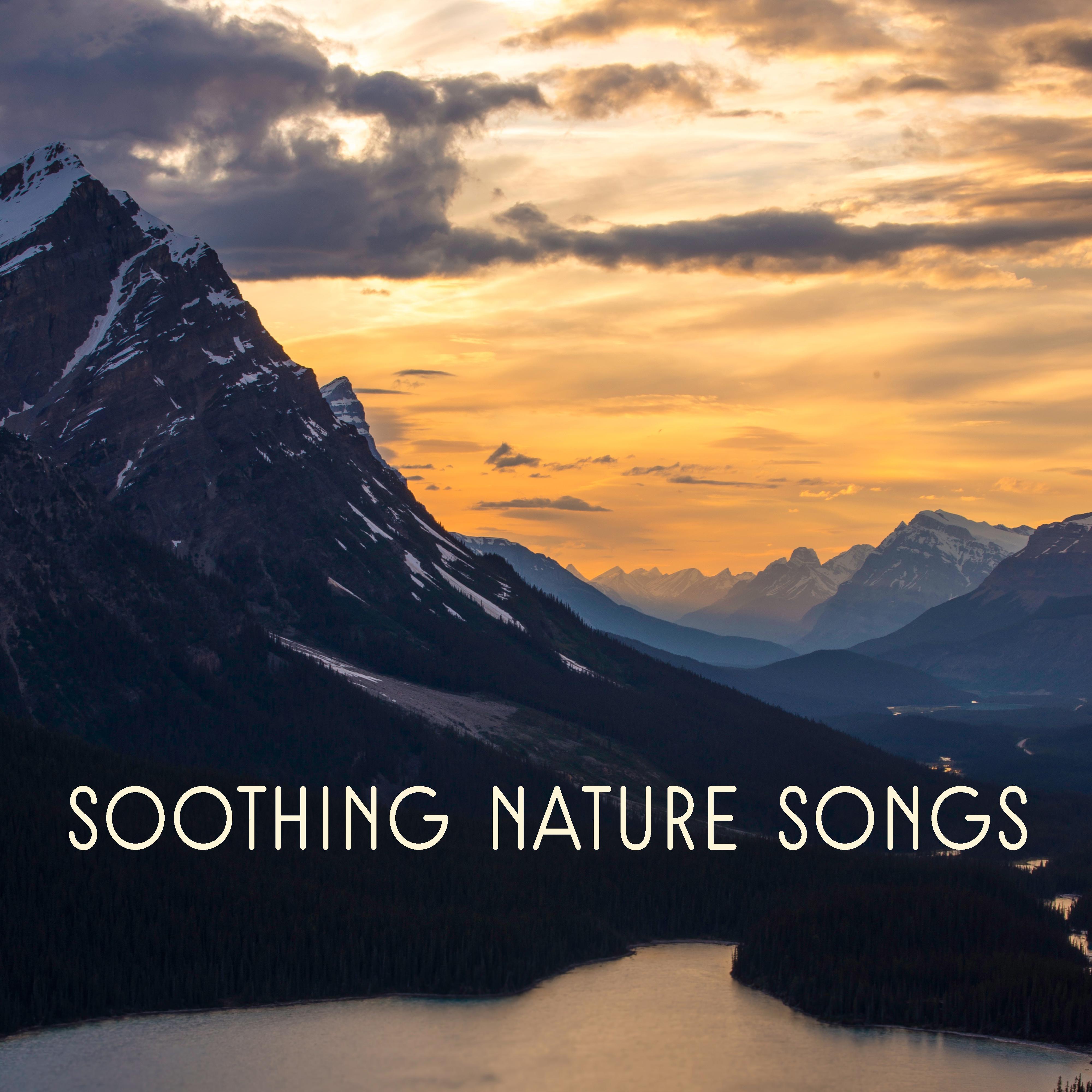 Soothing Nature Songs