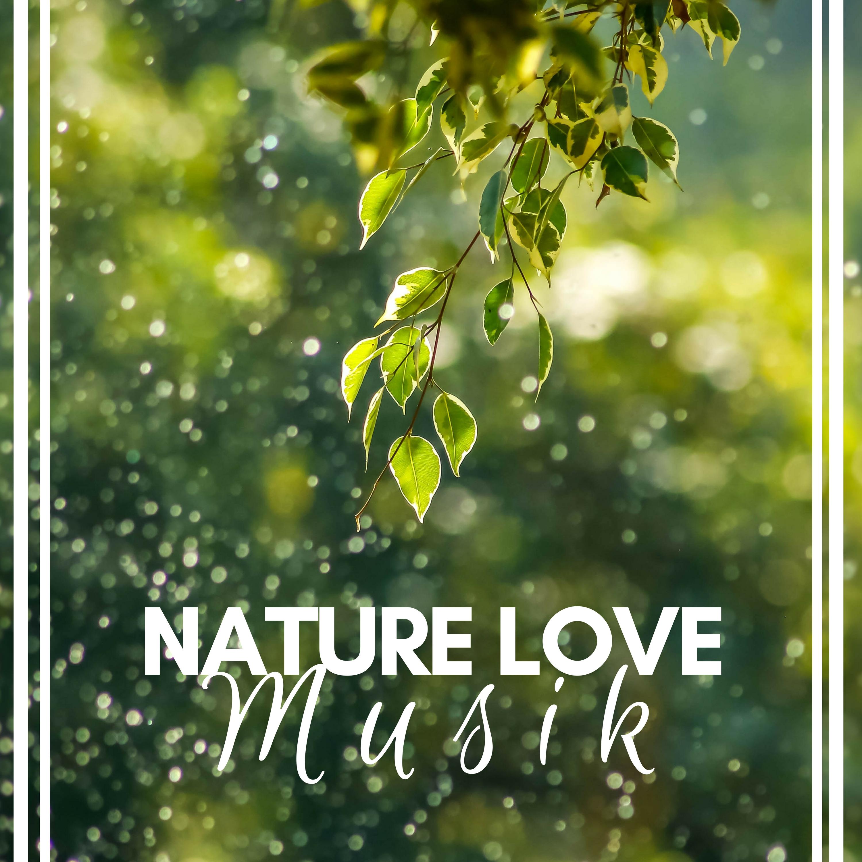 Nature Love Musik  Entspannende Musik mit Kl ngen der Natur