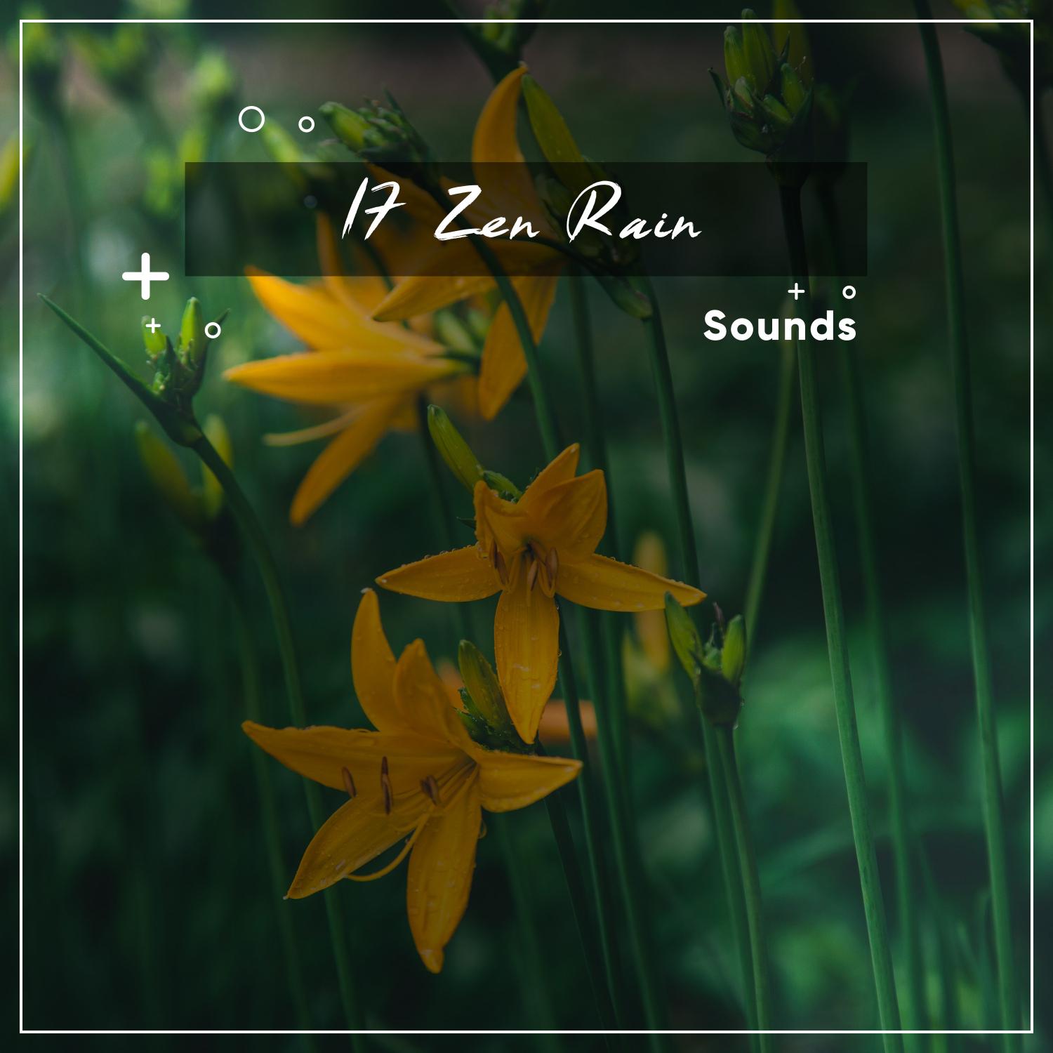17 Zen Rain Sounds, White Noise Rain Tracks