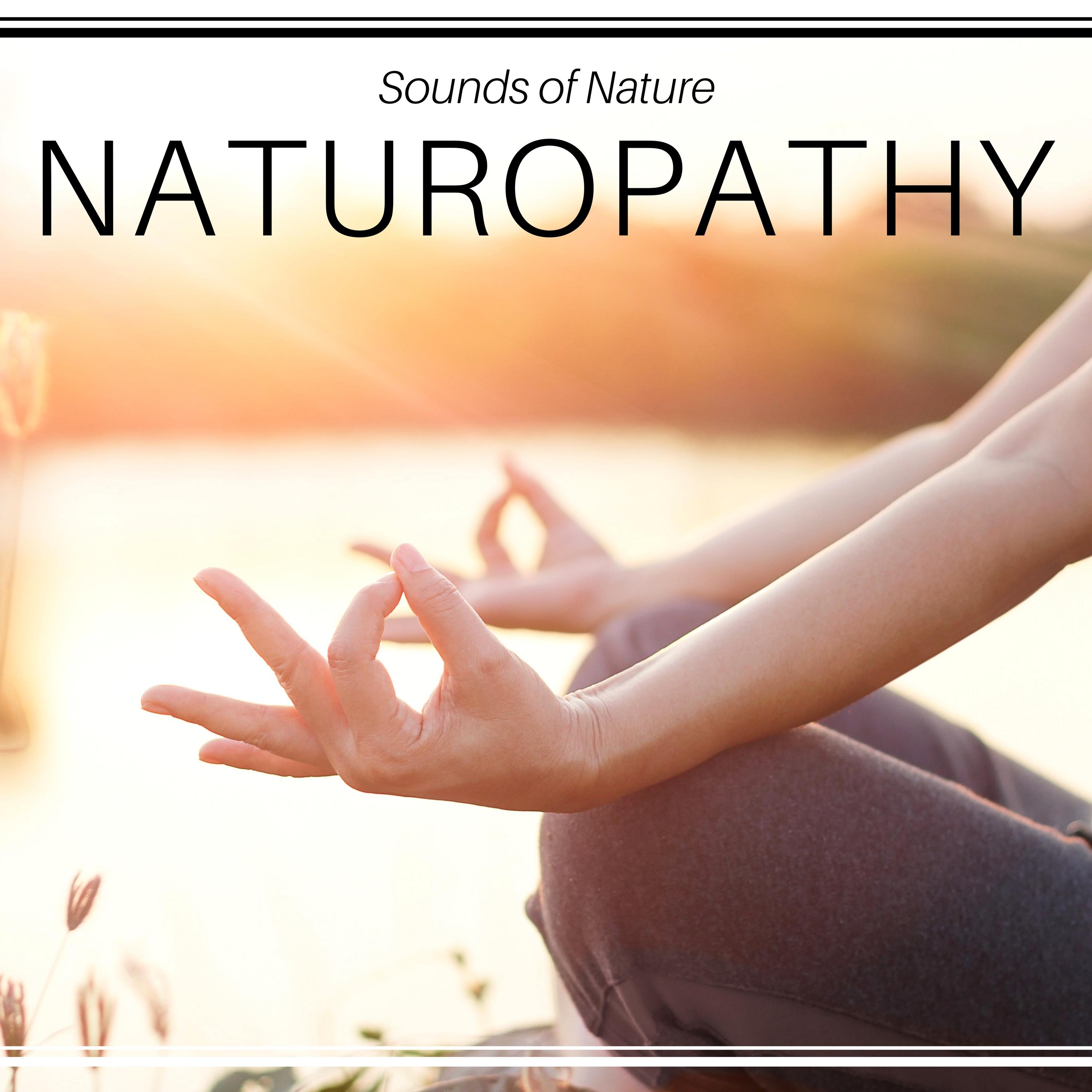 Naturopathy - Sounds of Nature, Biofeedback, Autogenic Training, Healthy Sleep, Breathing Exercises, Long Relaxation