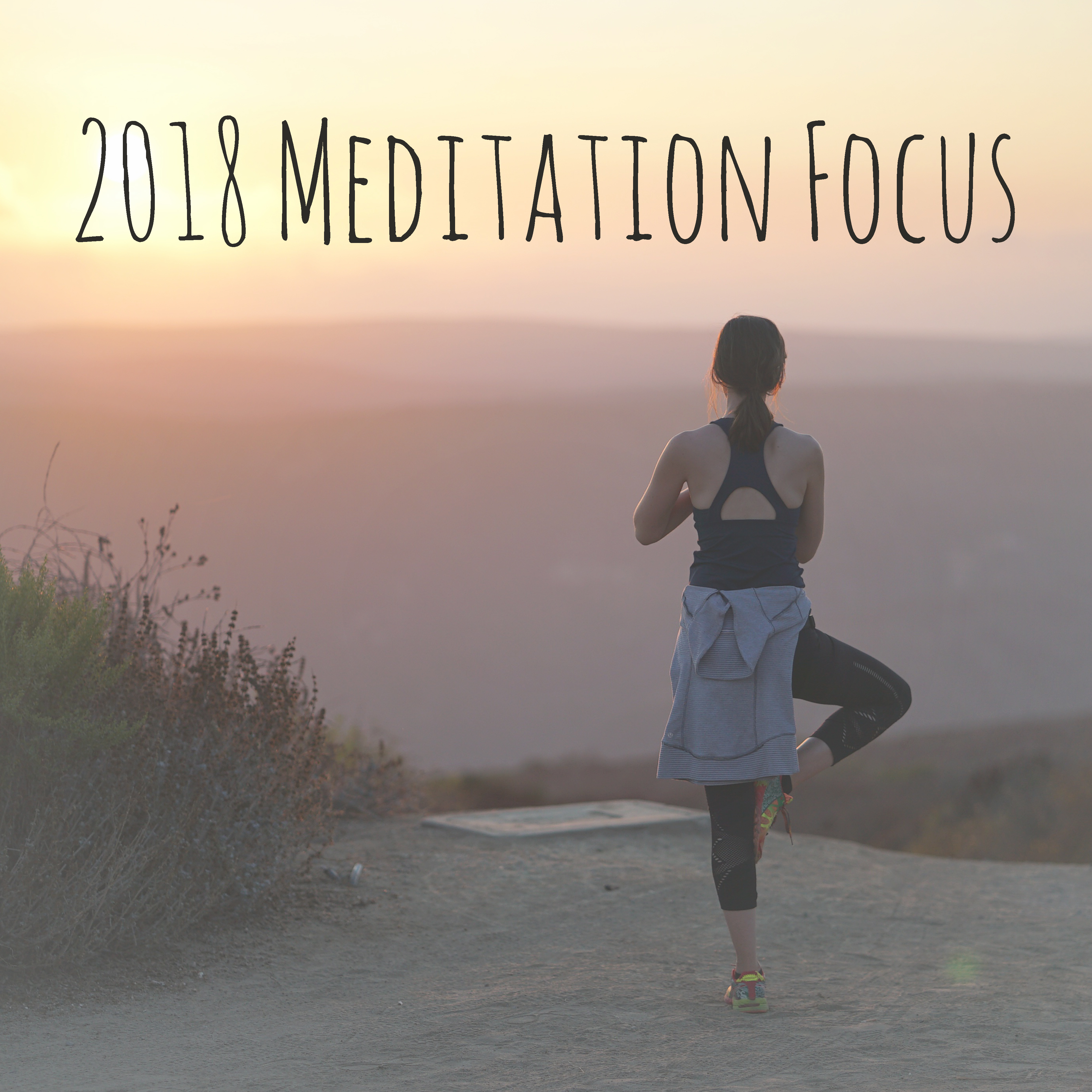 2018 Meditation Focus