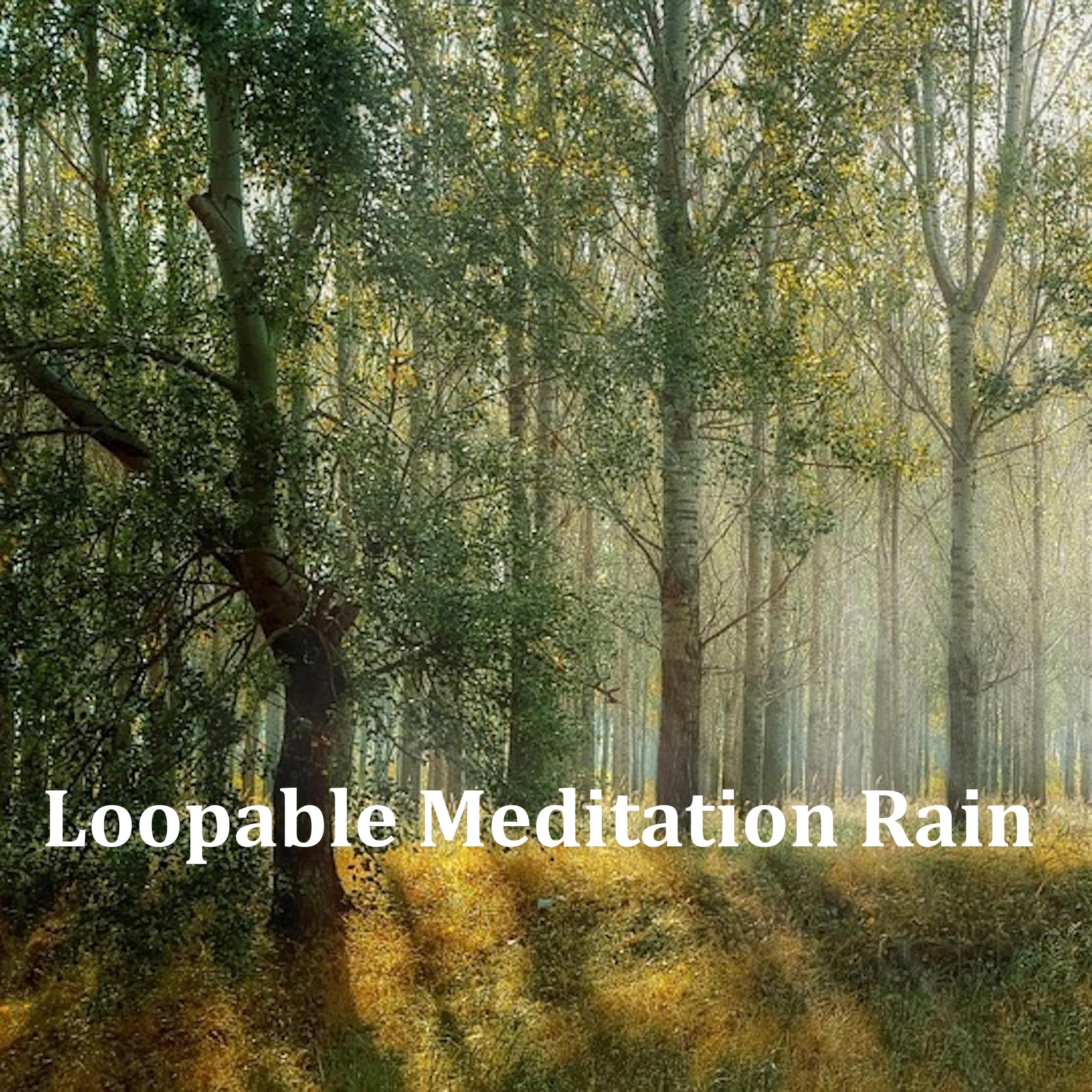 20 Loopable Sleep and Meditation Sounds: Ambient Rain
