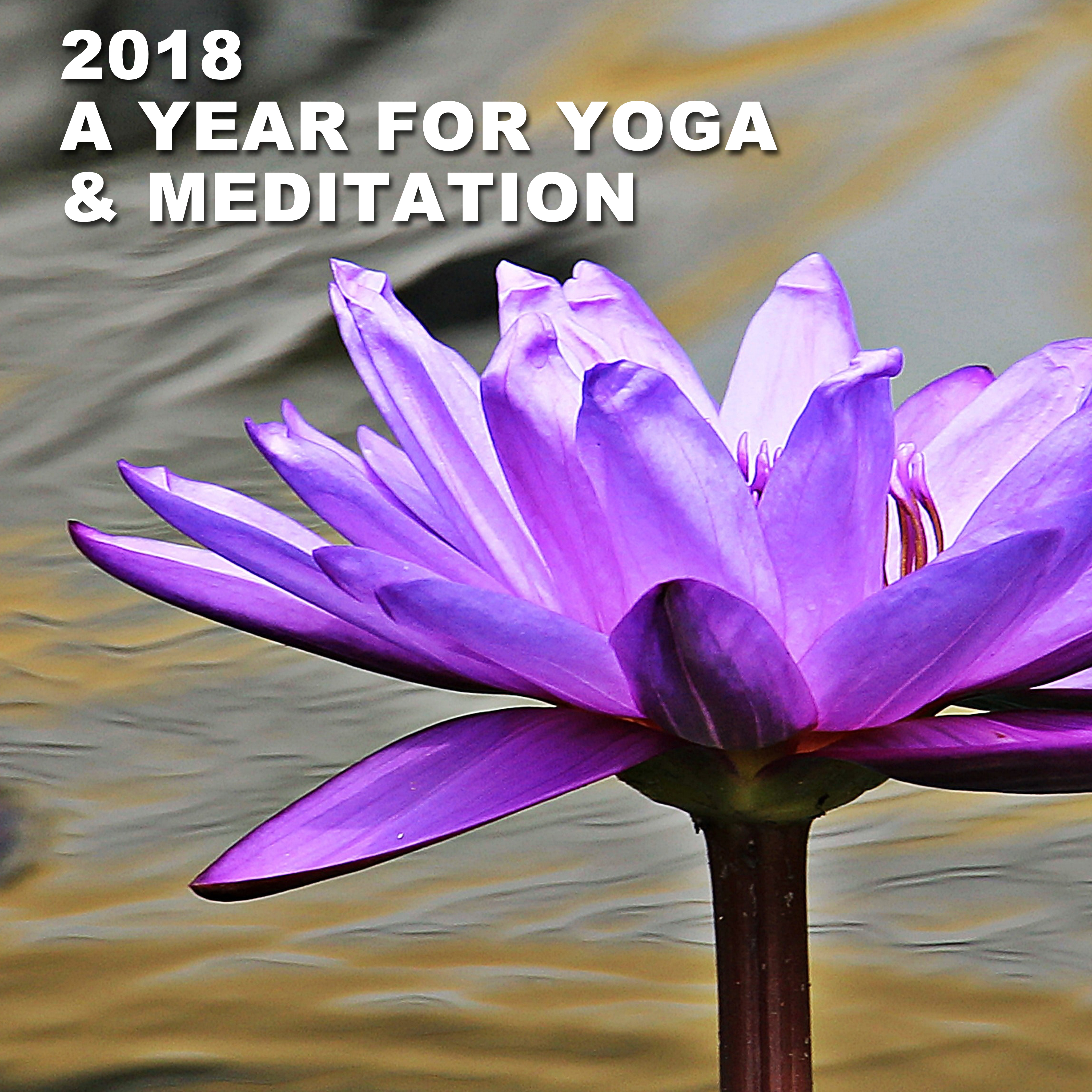 2018 - A Year for Yoga & Meditation