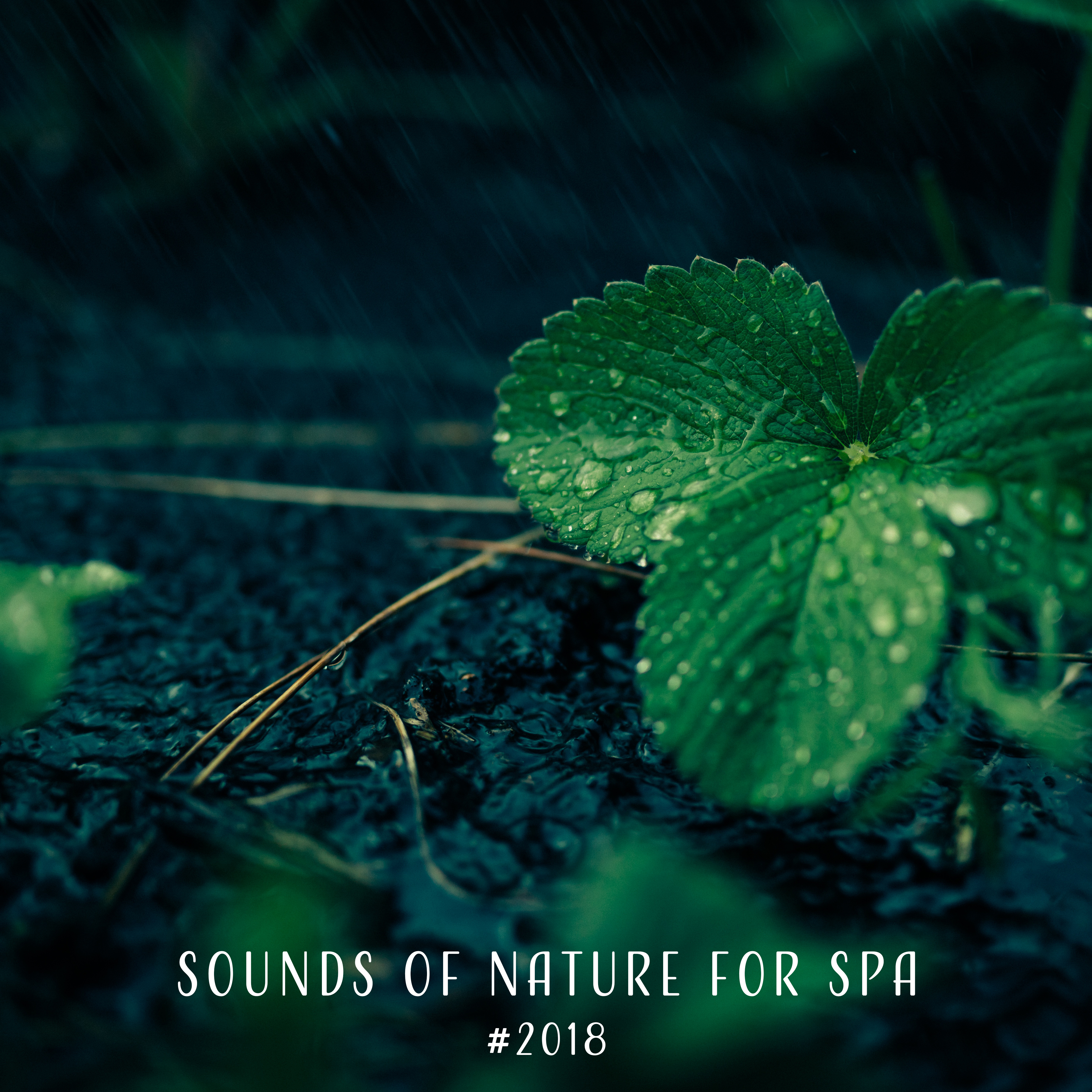 # 2018 Sounds of Nature for Spa