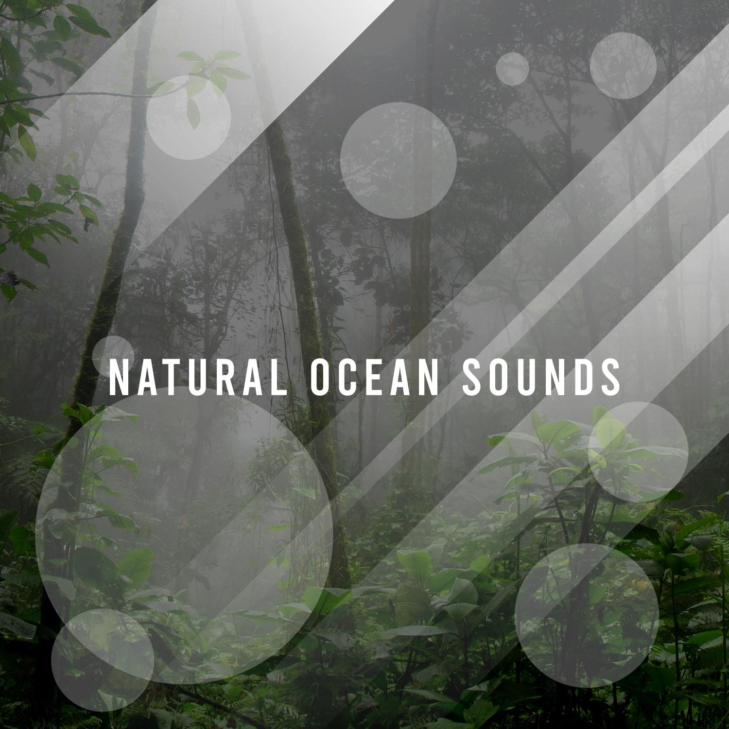 16 Sleepy Nature Ocean and Rain Sounds for Dreaming and Perfect Zen