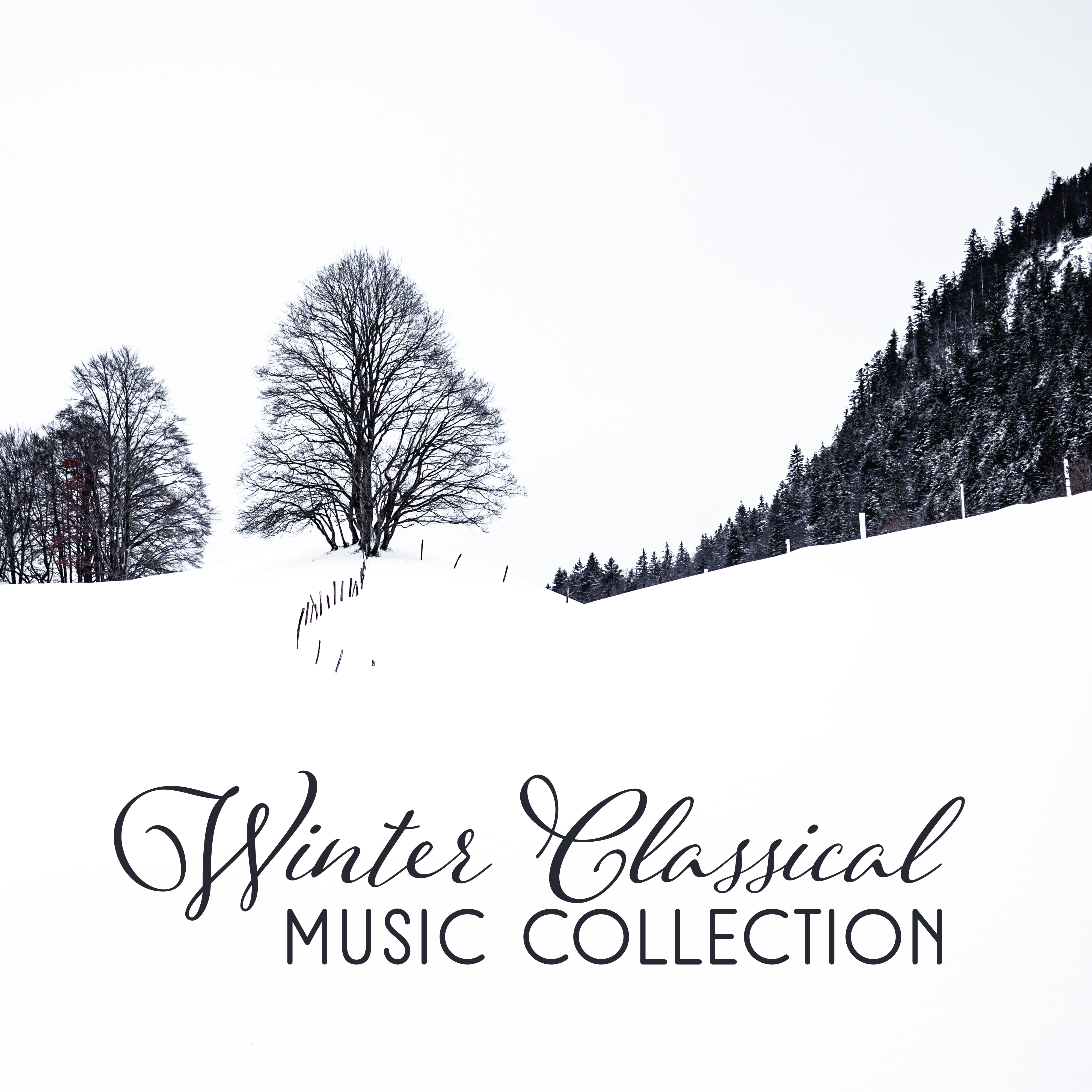 Winter Classical Music Collection