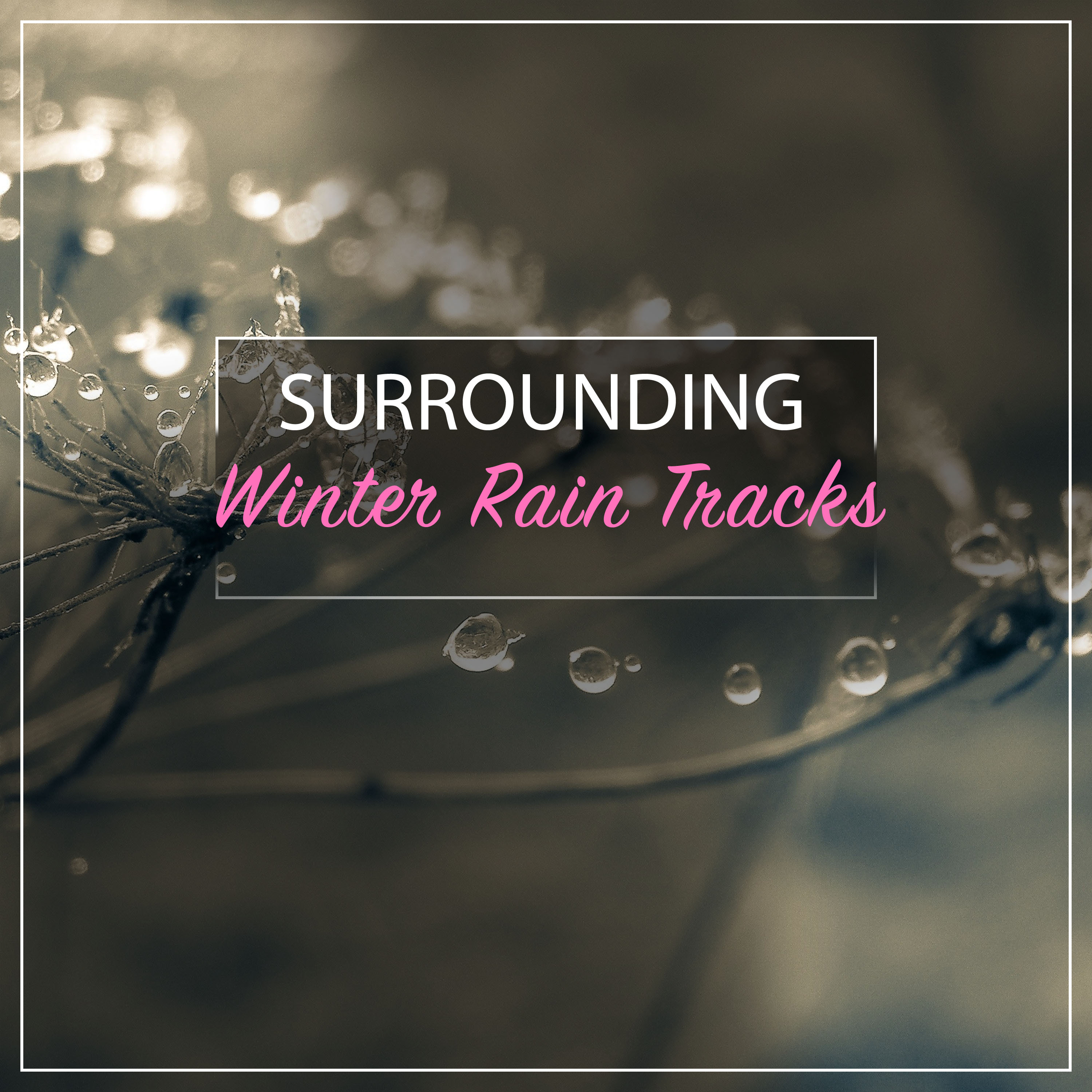 #15 Surrounding Winter Rain Tracks