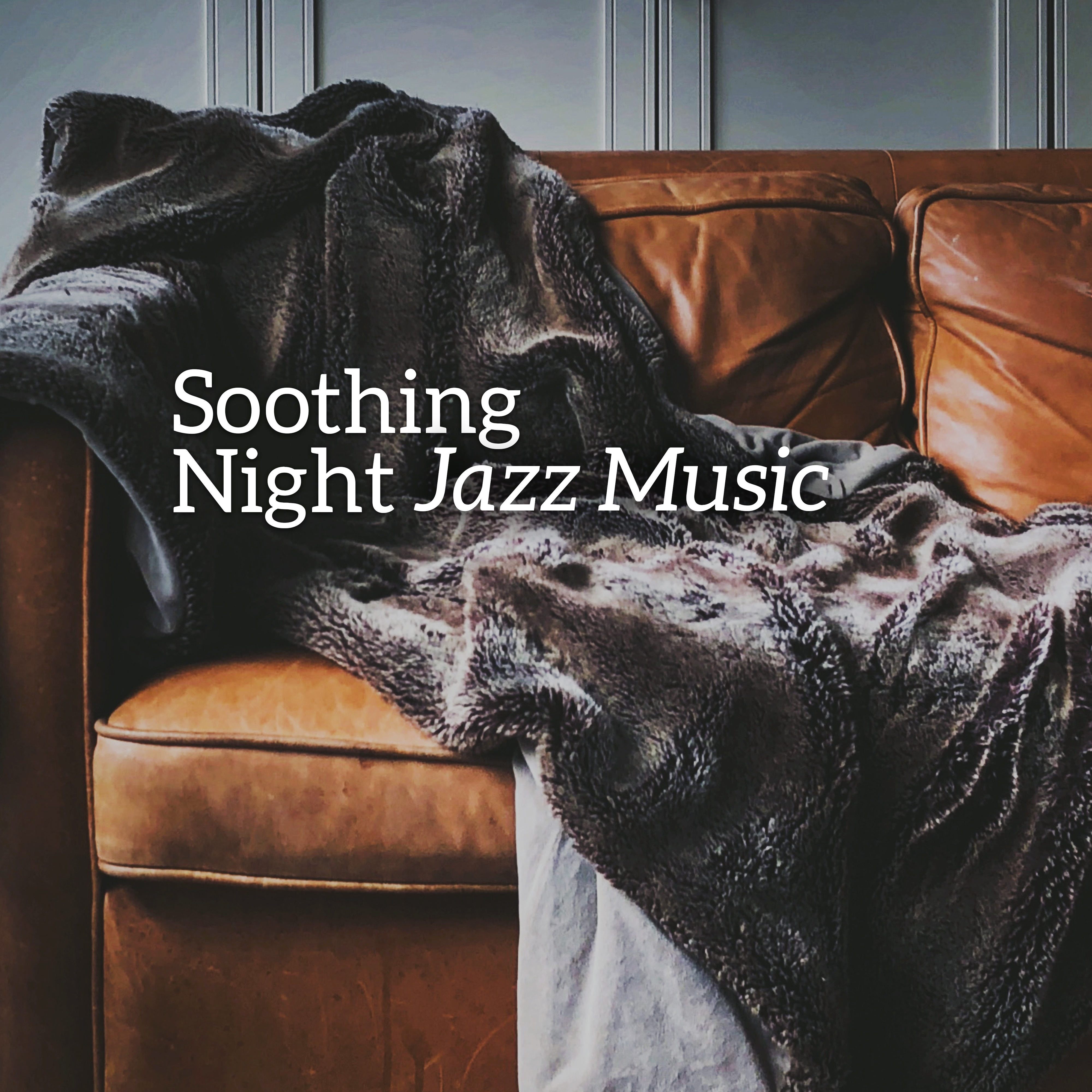 Soothing Night Jazz Music