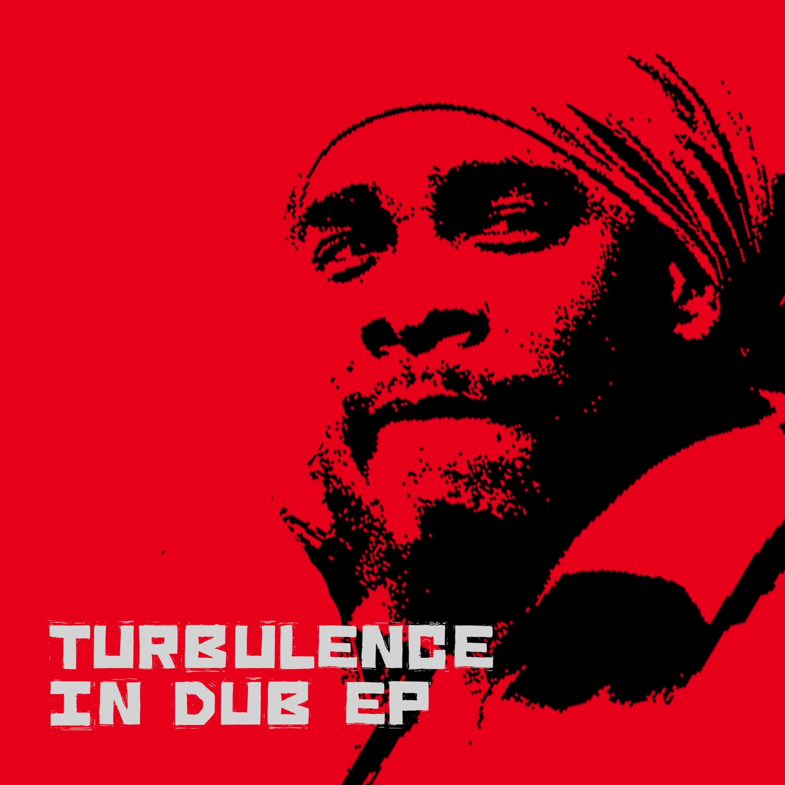 Turbulence In Dub