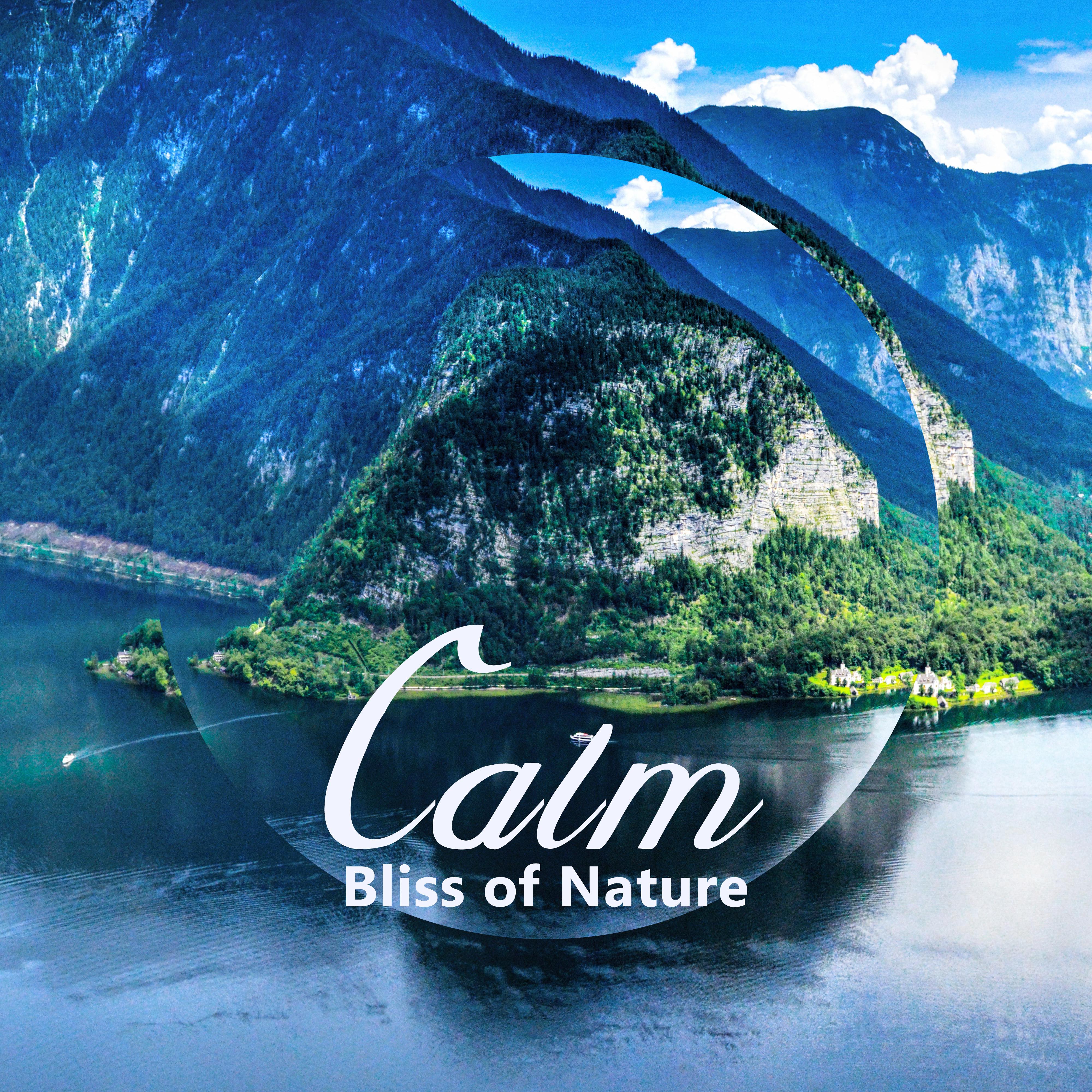 Calm Bliss of Nature