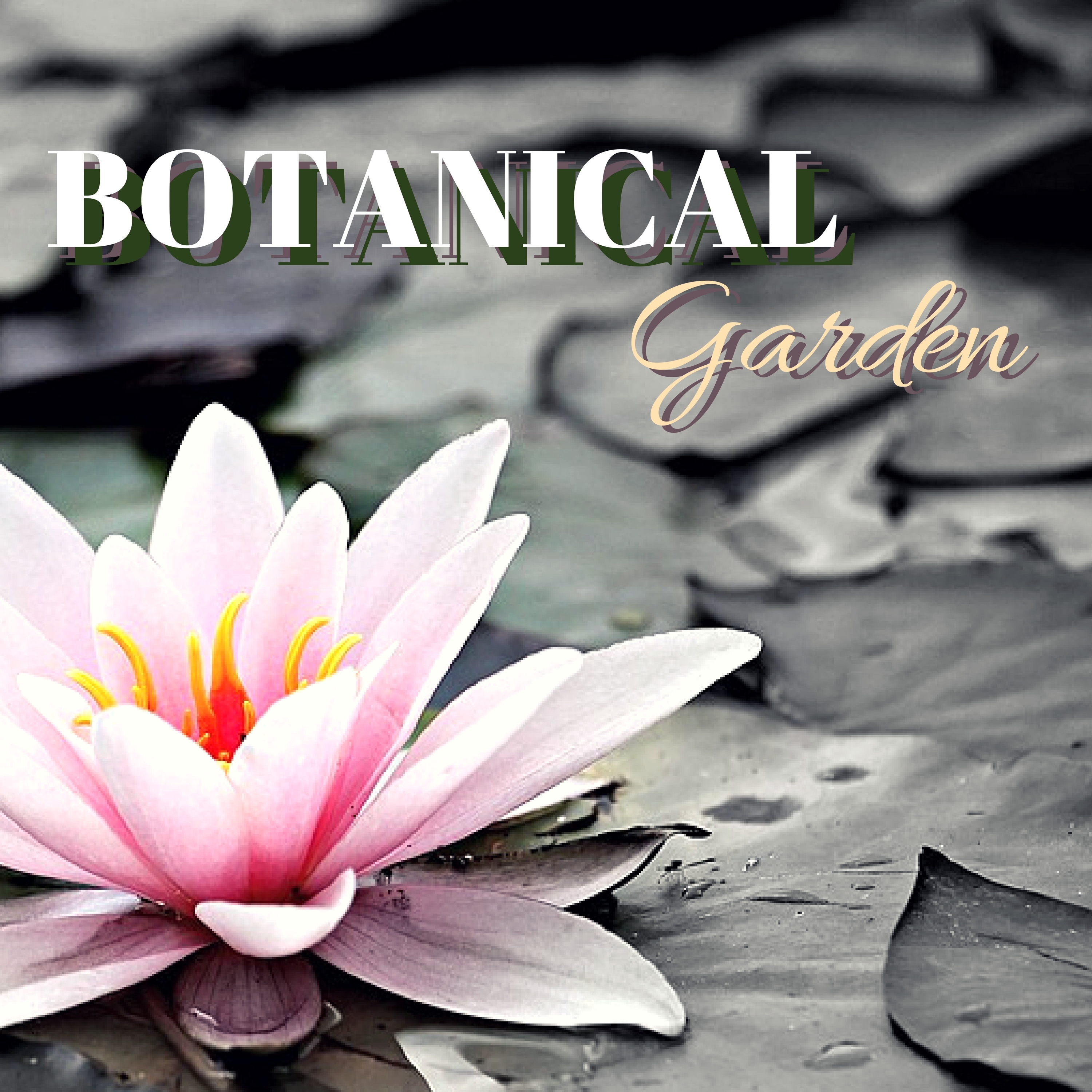 Botanical Garden