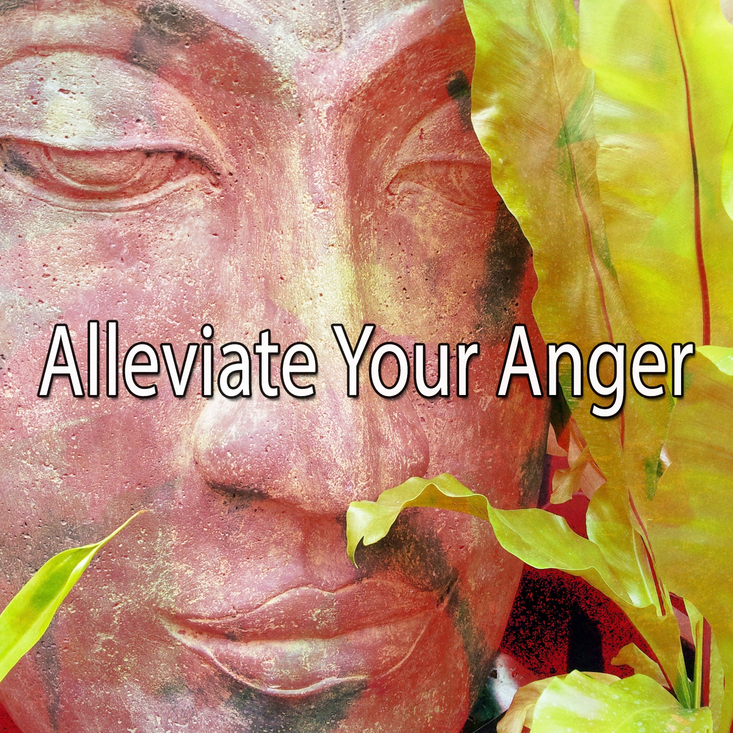 Alleviate Your Anger