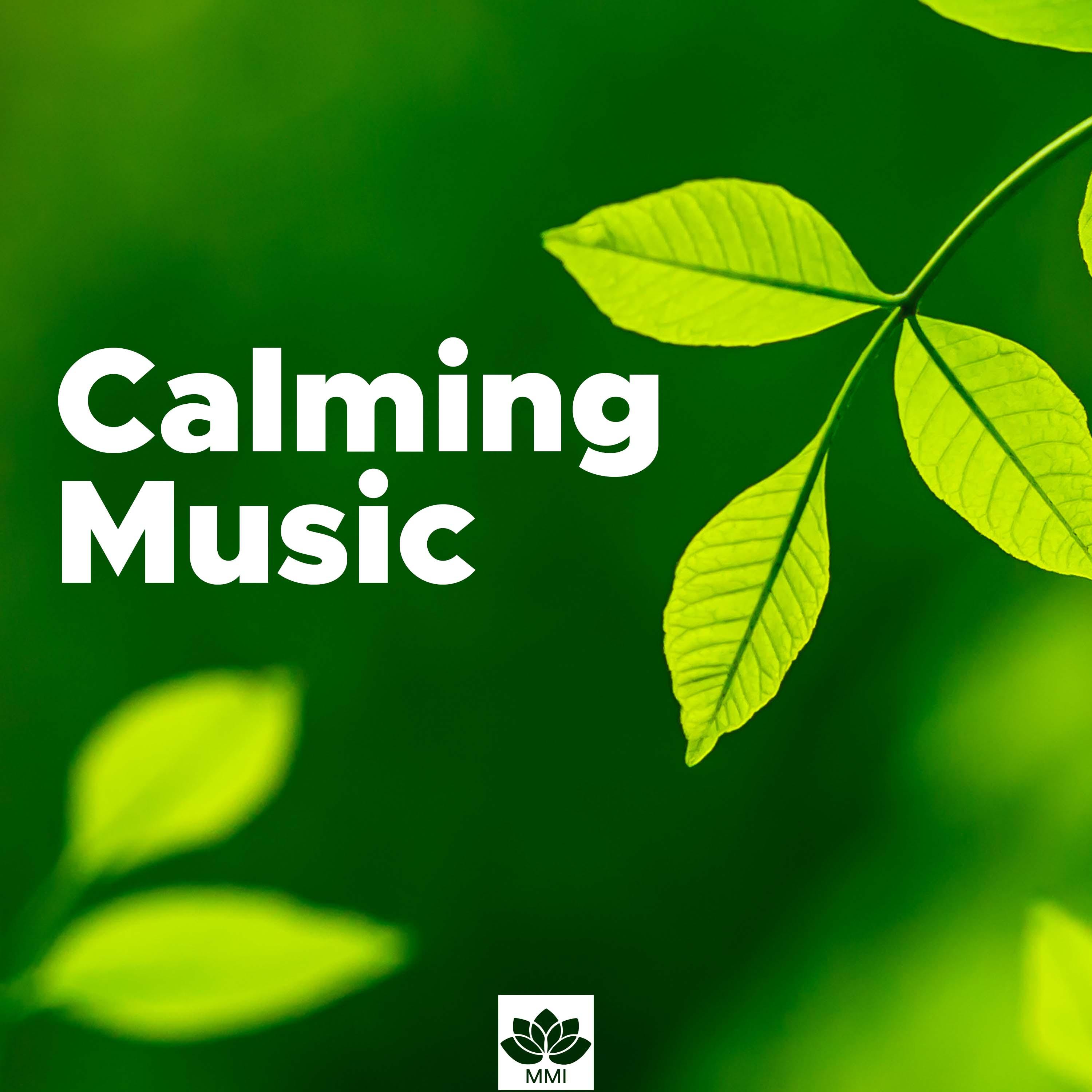 Calming Music - Relaxing Instrumental Music to Relieve Stress, Negative Thoughts and Anger
