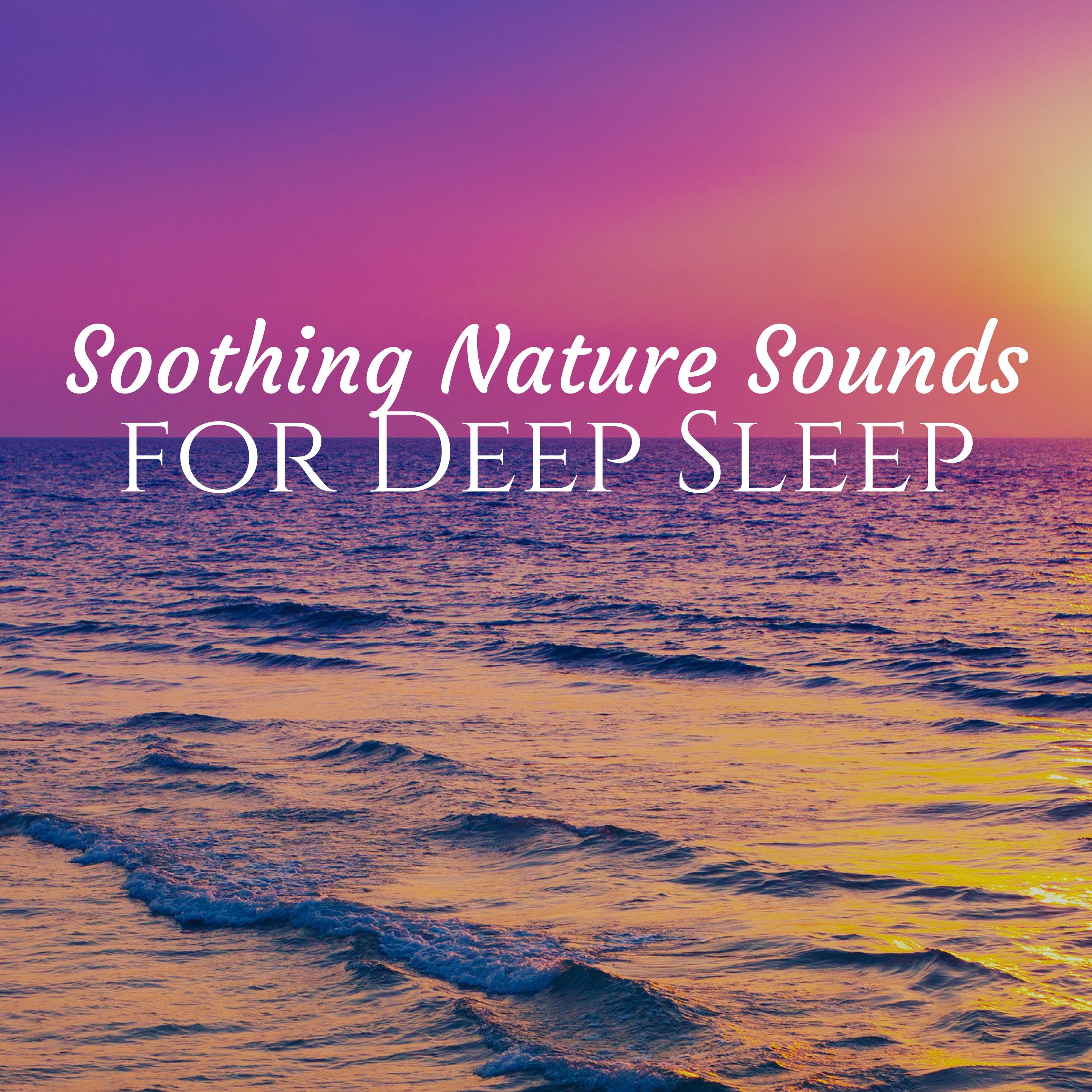 Nature Sounds