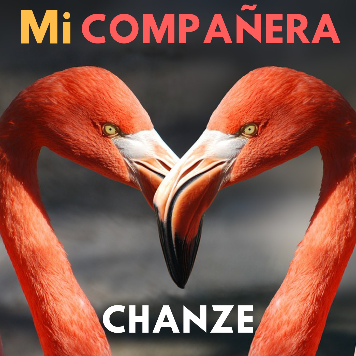 Mi Compa era