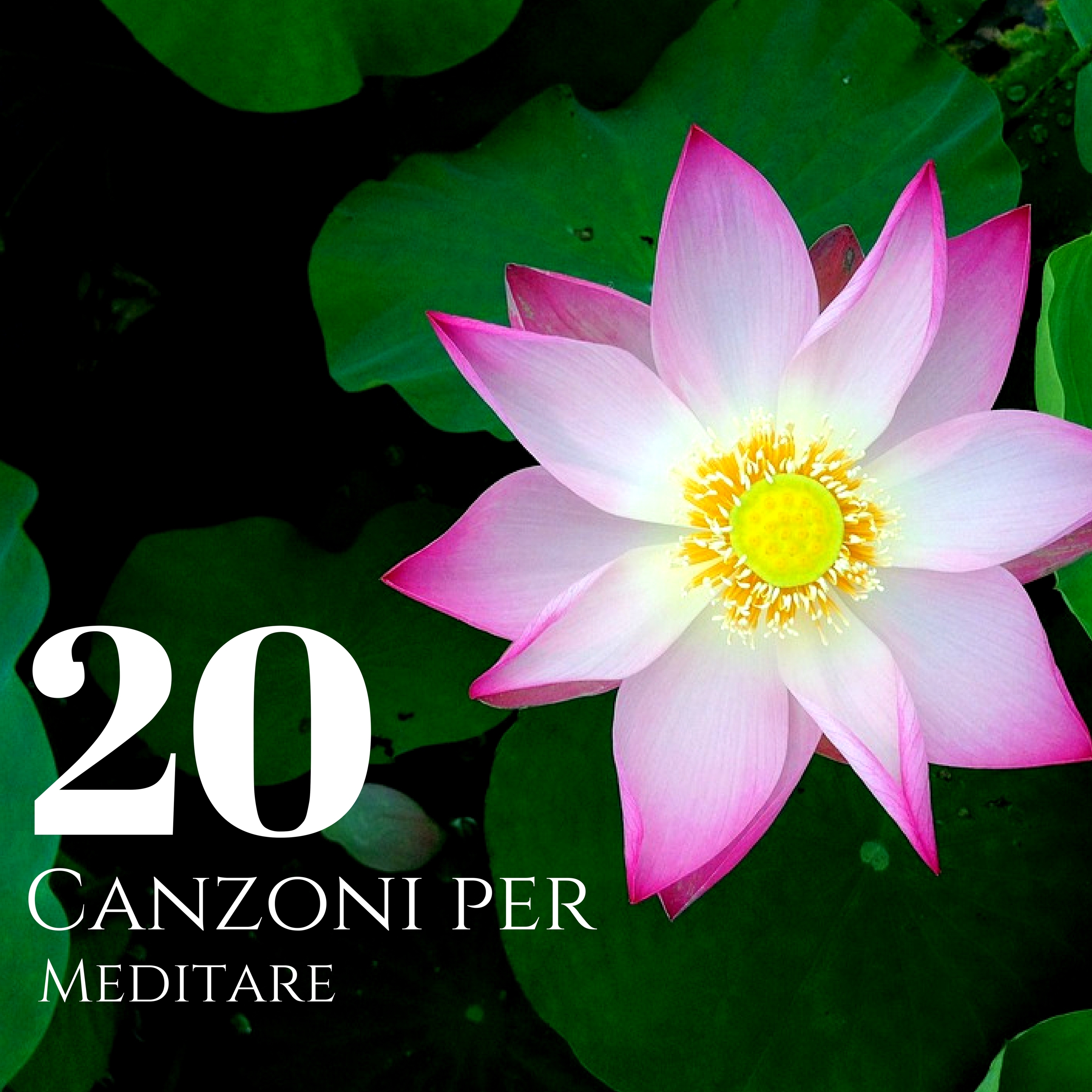20 Canzoni per Meditare - Musica da Meditazione per Rilassamento Muscolare Progressivo