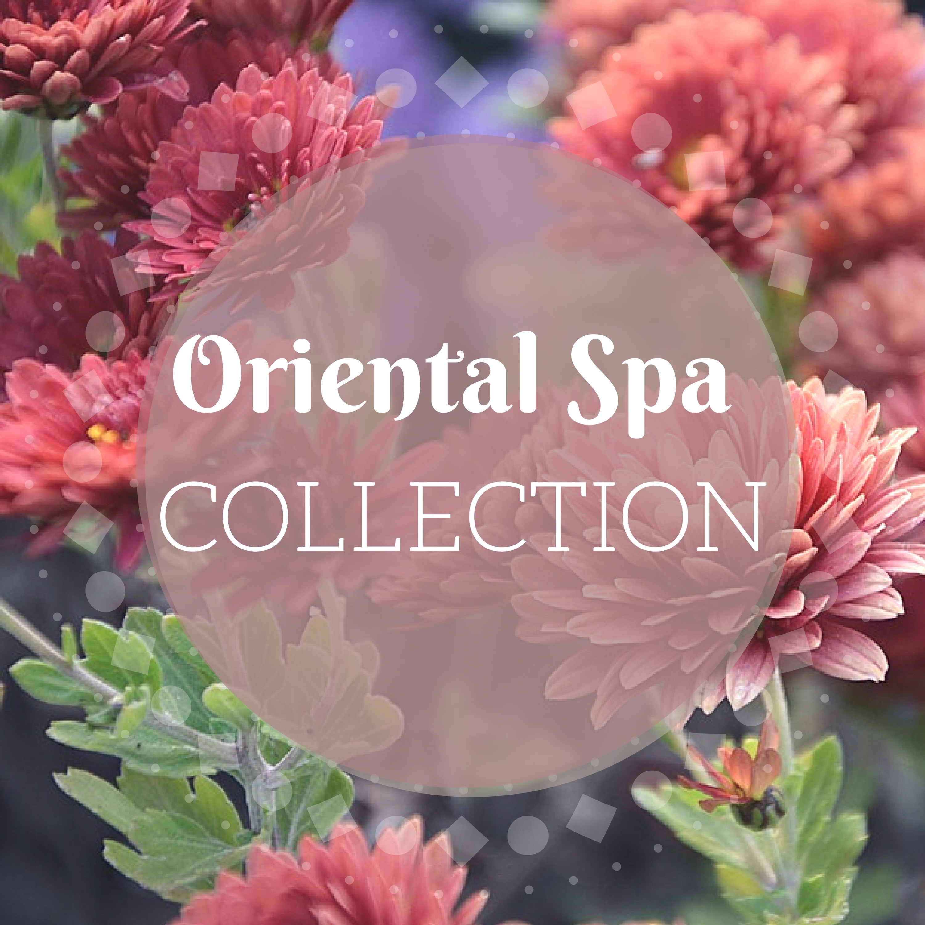 Oriental Spa Collection - Ying & Yang Wellness Music, Zen Awakening Nature Sounds